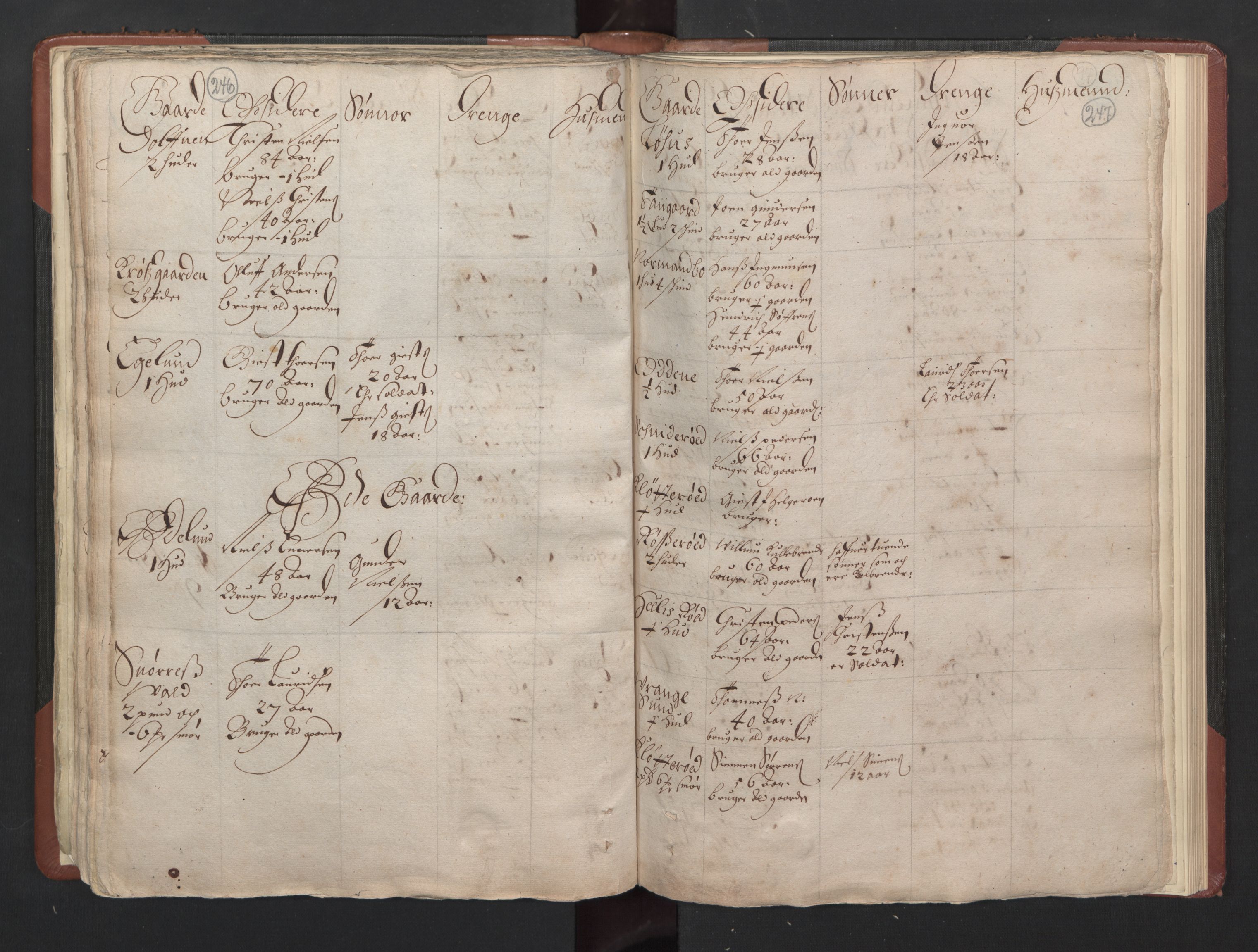 RA, Bailiff's Census 1664-1666, no. 5: Modern Buskerud county and modern Vestfold county, 1664, p. 246-247