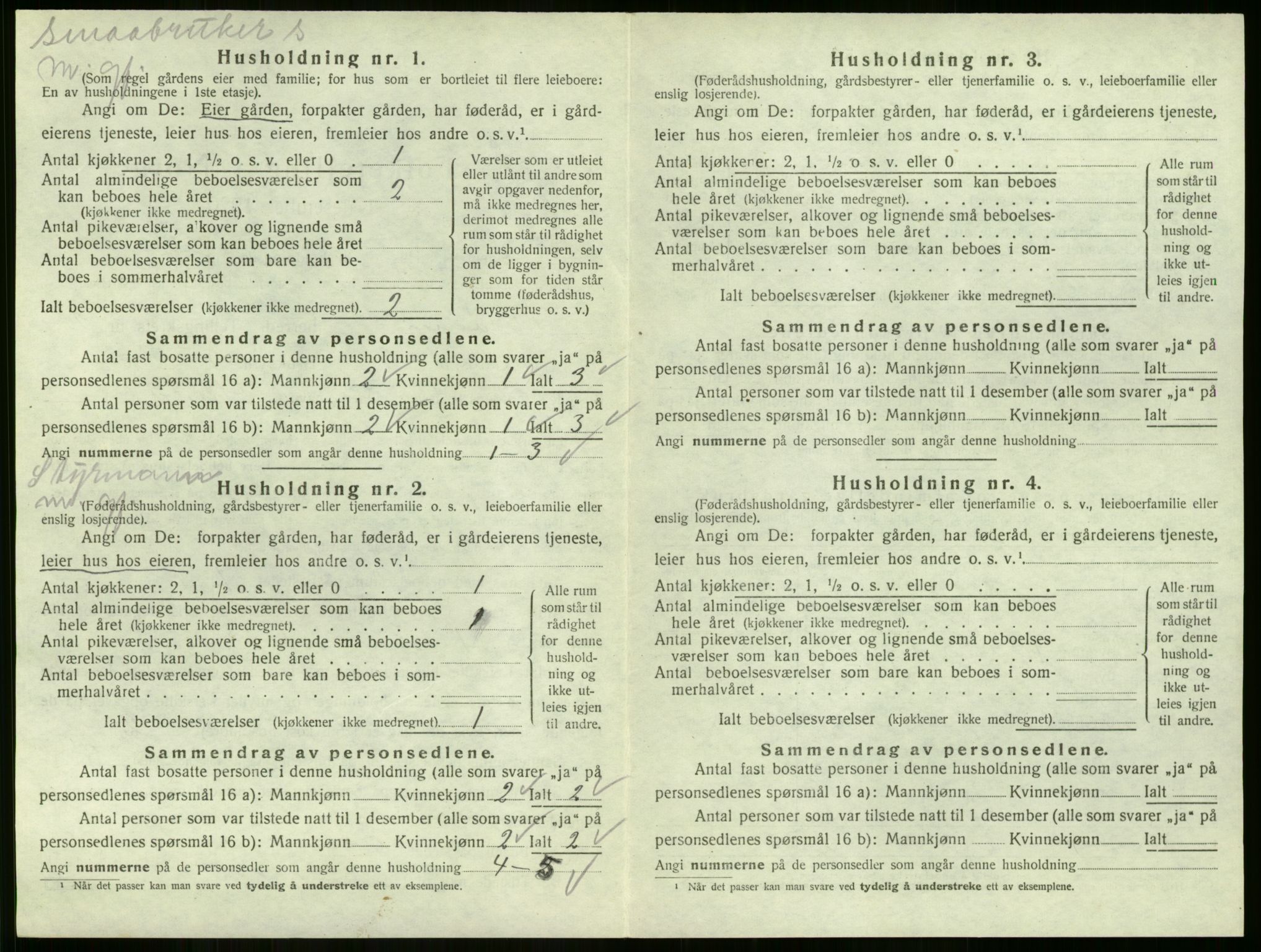 SAKO, 1920 census for Strømm, 1920, p. 144