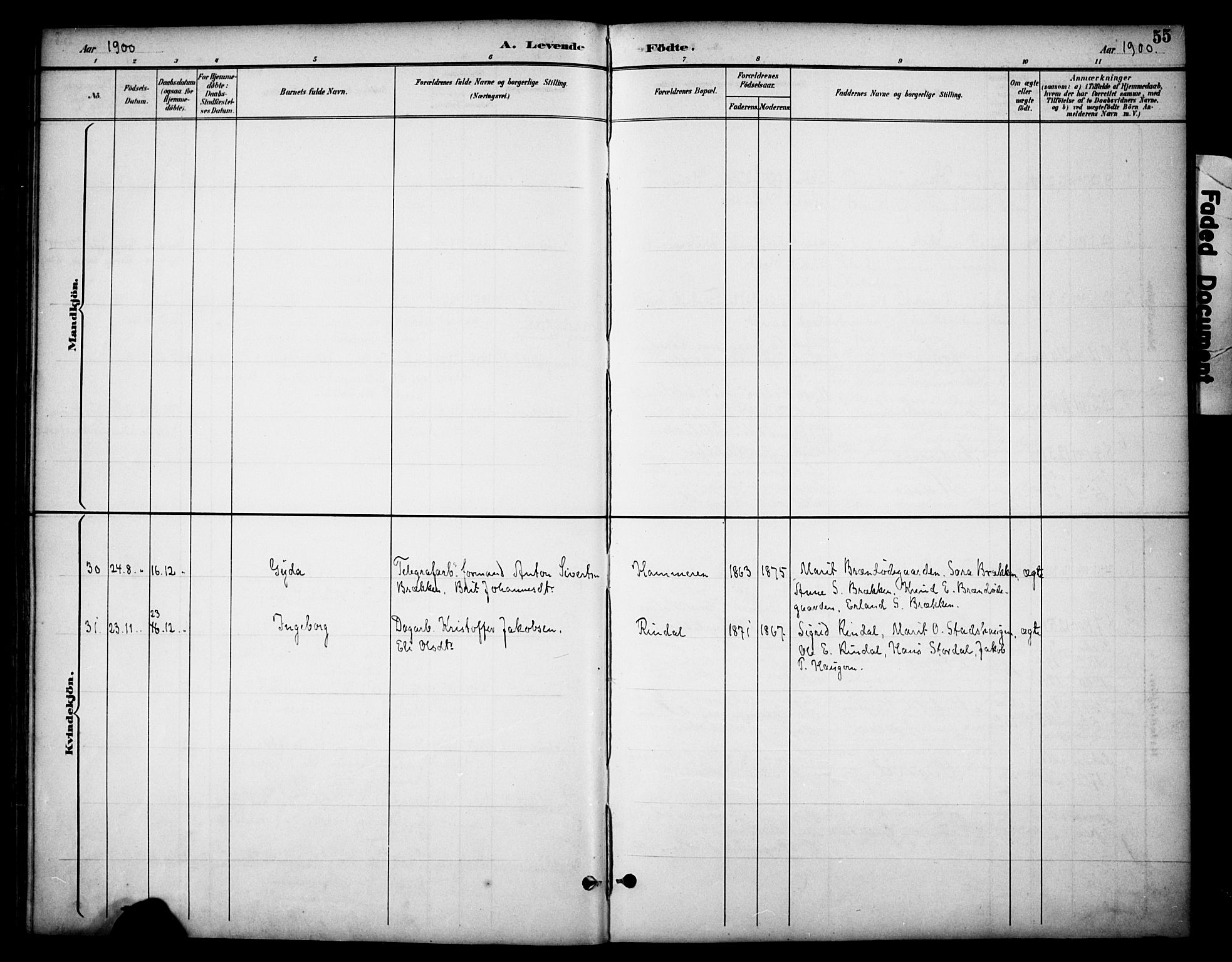 Dovre prestekontor, AV/SAH-PREST-066/H/Ha/Haa/L0003: Parish register (official) no. 3, 1891-1901, p. 55