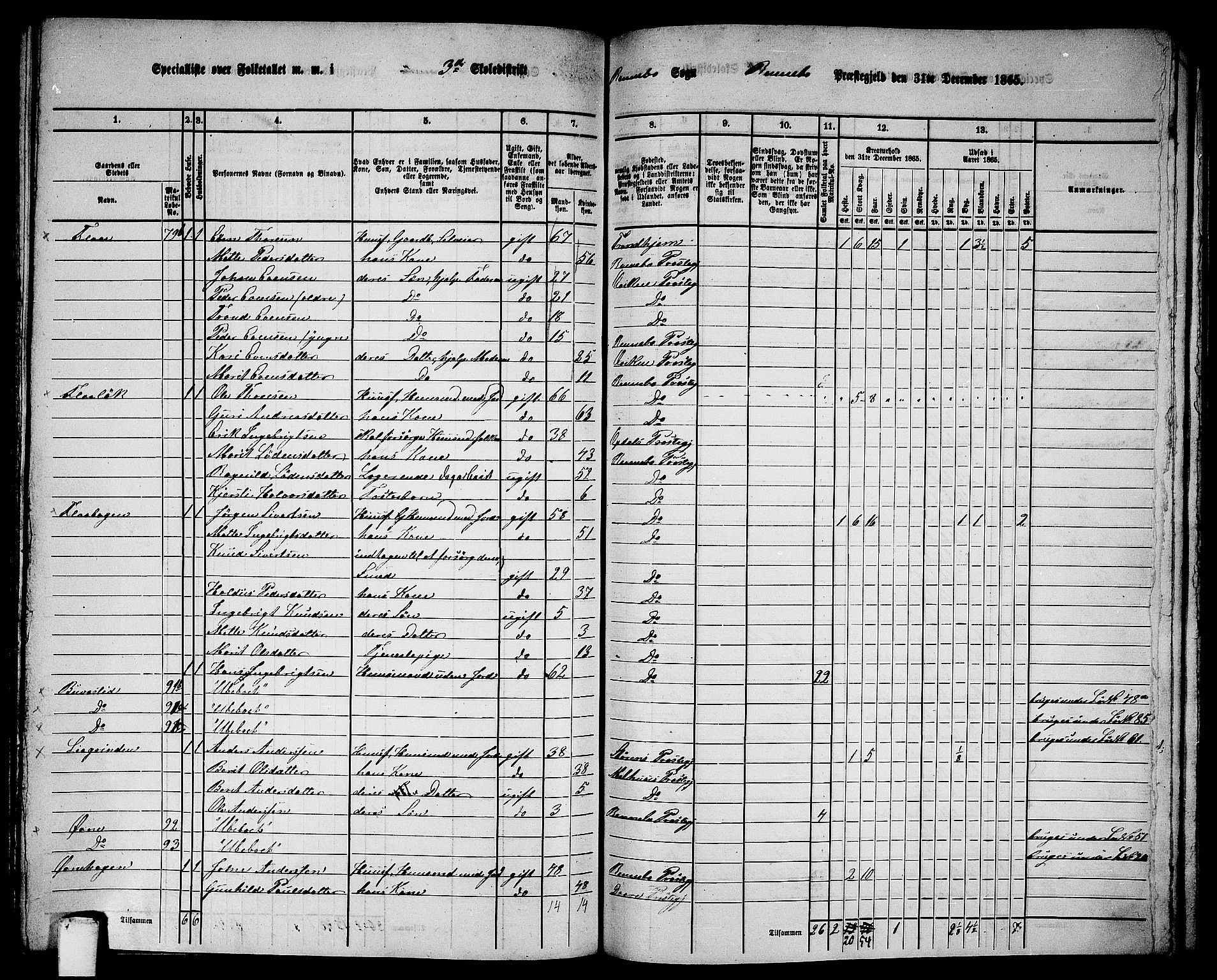 RA, 1865 census for Rennebu, 1865, p. 49