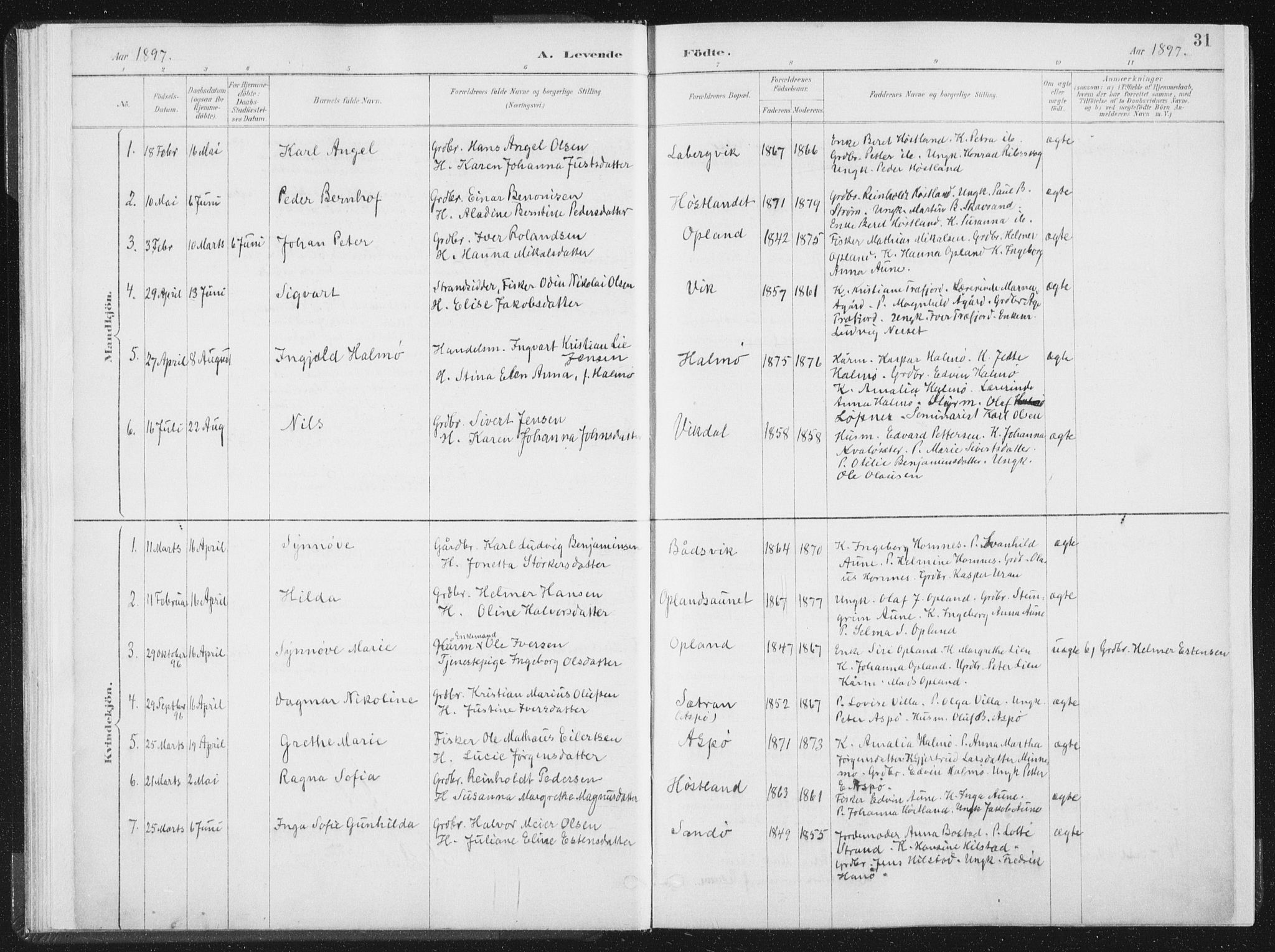 Ministerialprotokoller, klokkerbøker og fødselsregistre - Nord-Trøndelag, AV/SAT-A-1458/771/L0597: Parish register (official) no. 771A04, 1885-1910, p. 31