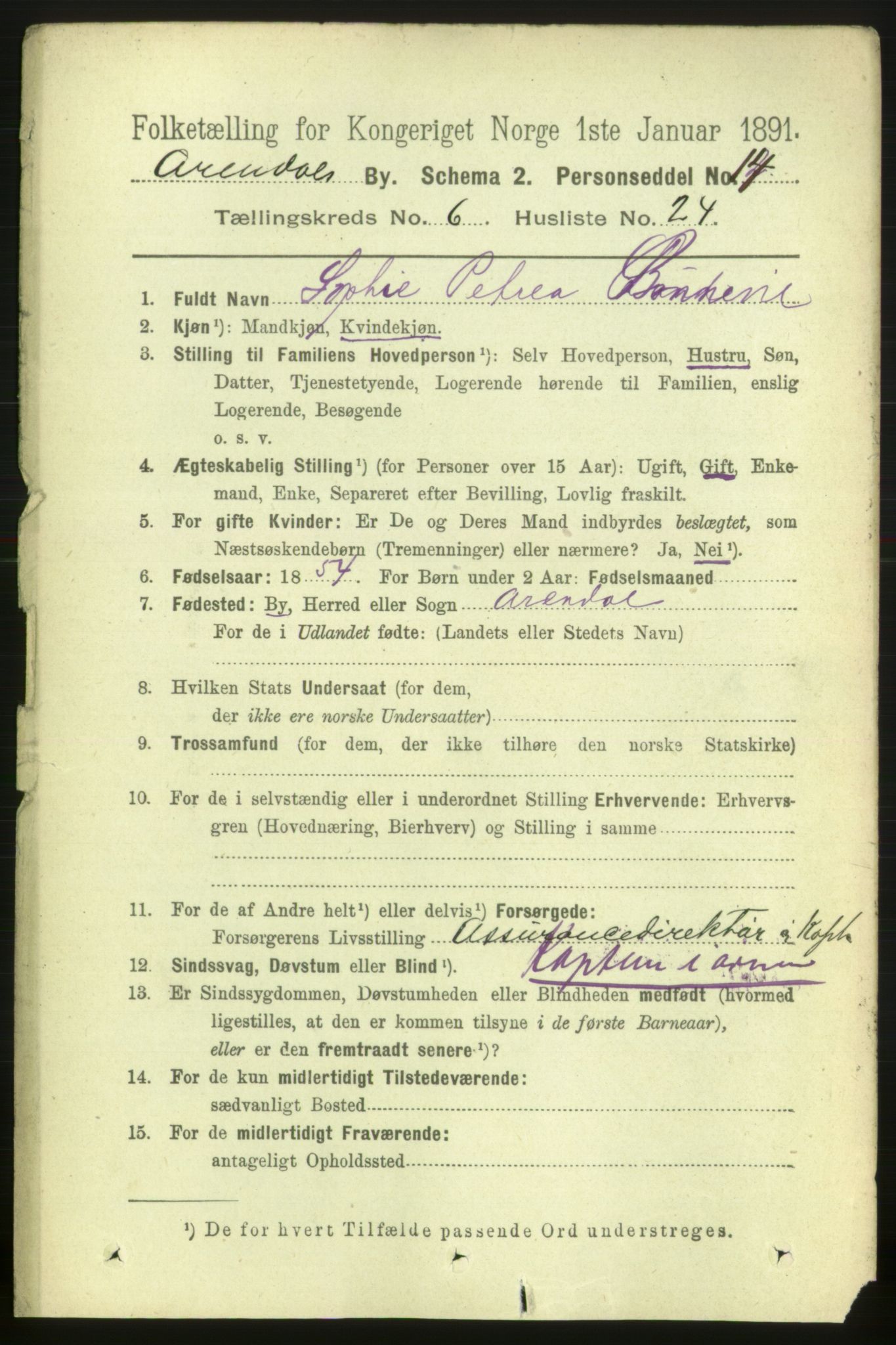 RA, 1891 census for 0903 Arendal, 1891, p. 2400