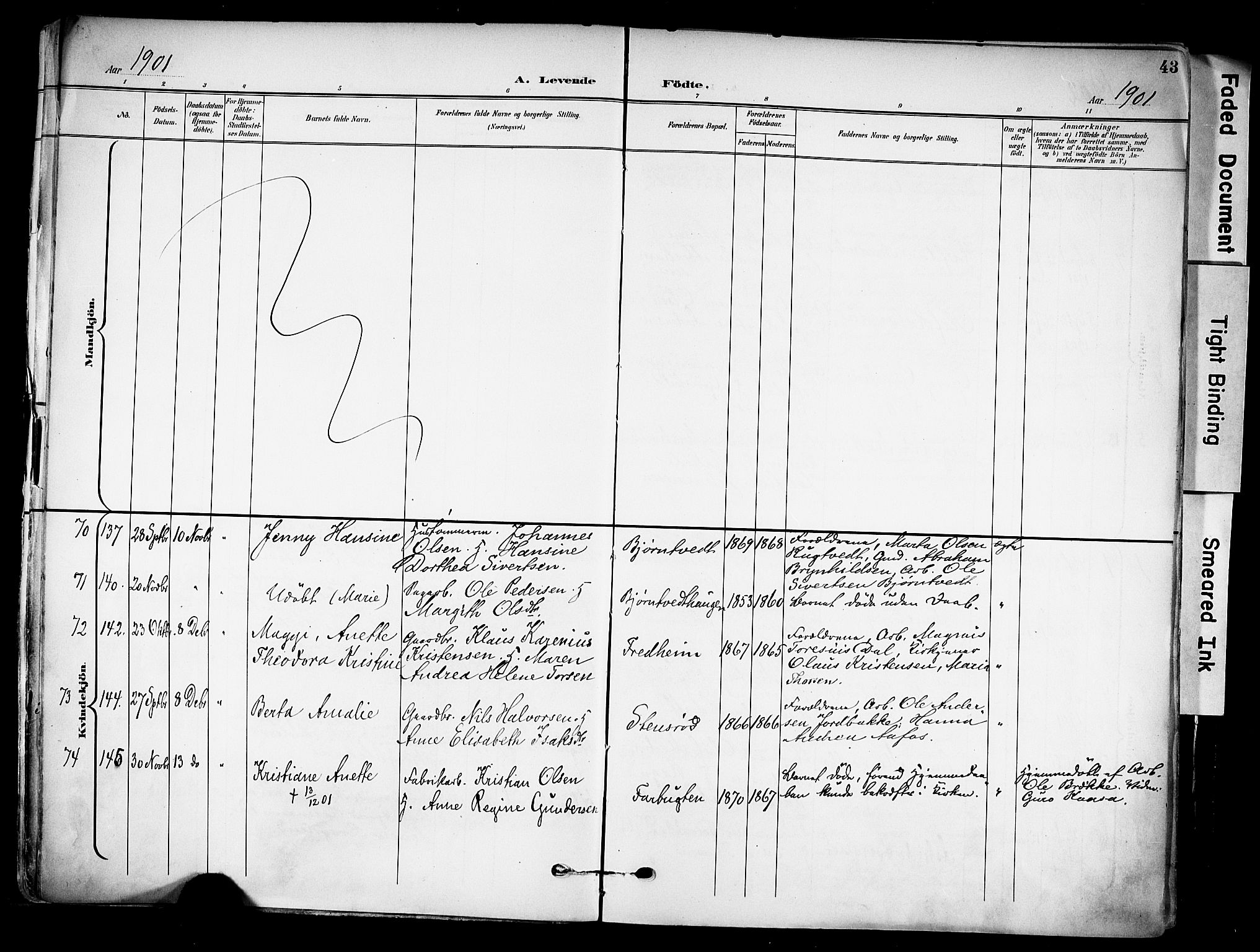 Solum kirkebøker, AV/SAKO-A-306/F/Fa/L0011: Parish register (official) no. I 11, 1898-1909, p. 43