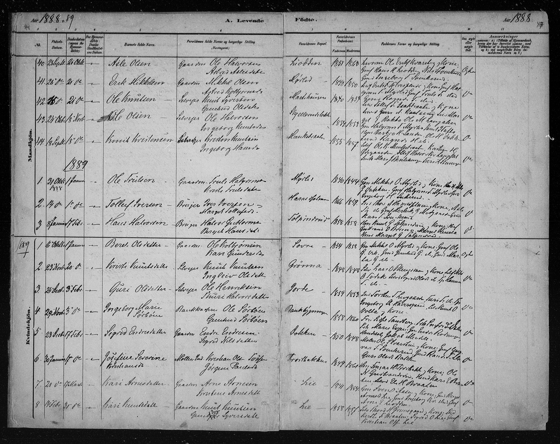 Nes kirkebøker, AV/SAKO-A-236/F/Fa/L0011: Parish register (official) no. 11, 1881-1912, p. 47