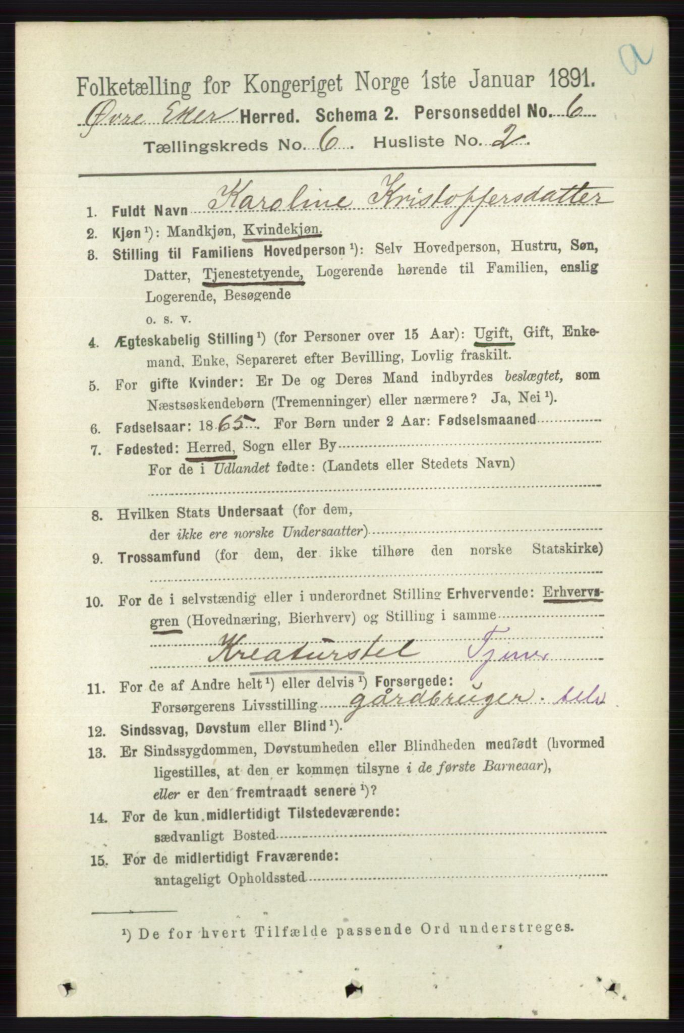 RA, 1891 census for 0624 Øvre Eiker, 1891, p. 2247