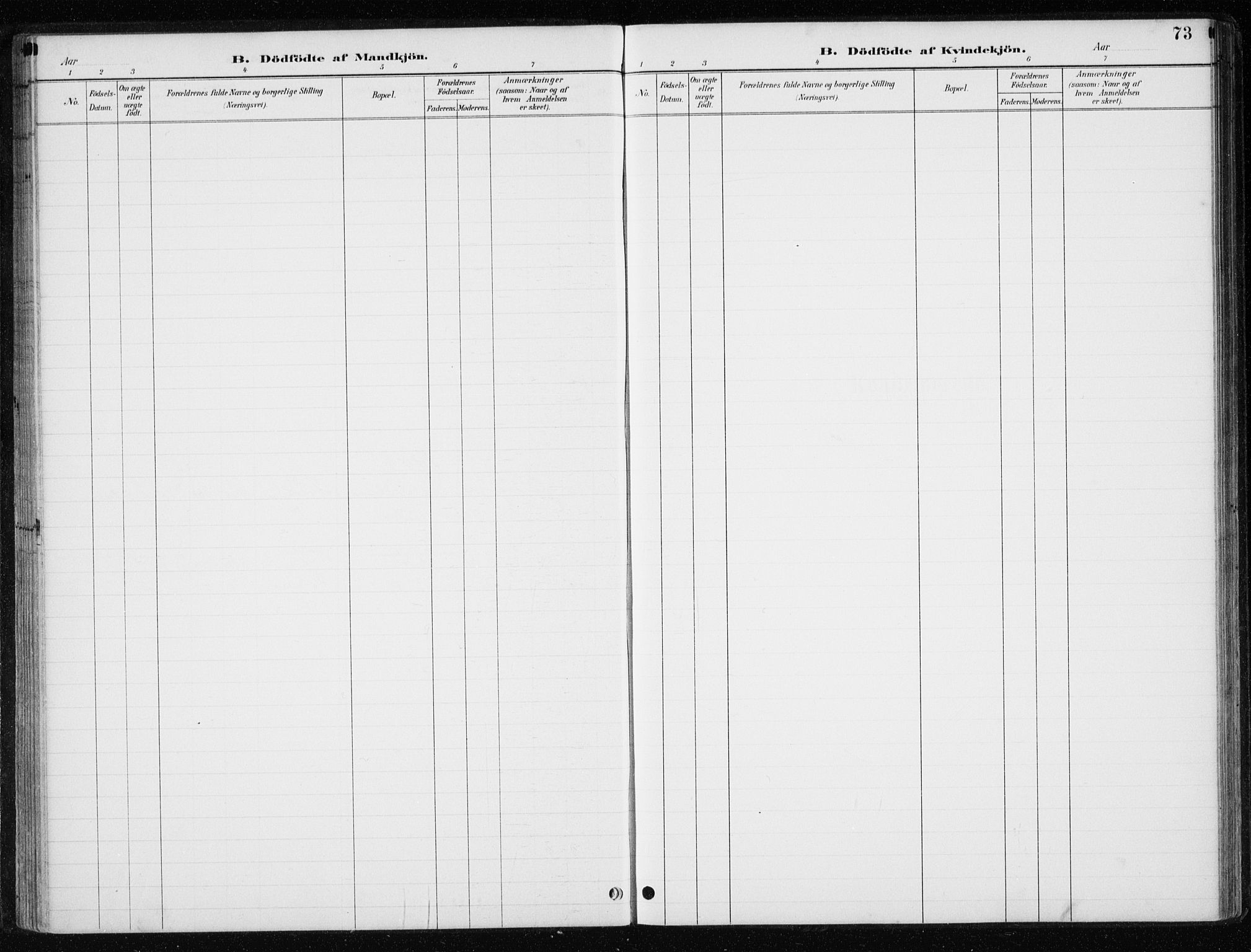 Ministerialprotokoller, klokkerbøker og fødselsregistre - Nord-Trøndelag, SAT/A-1458/710/L0096: Parish register (copy) no. 710C01, 1892-1925, p. 73