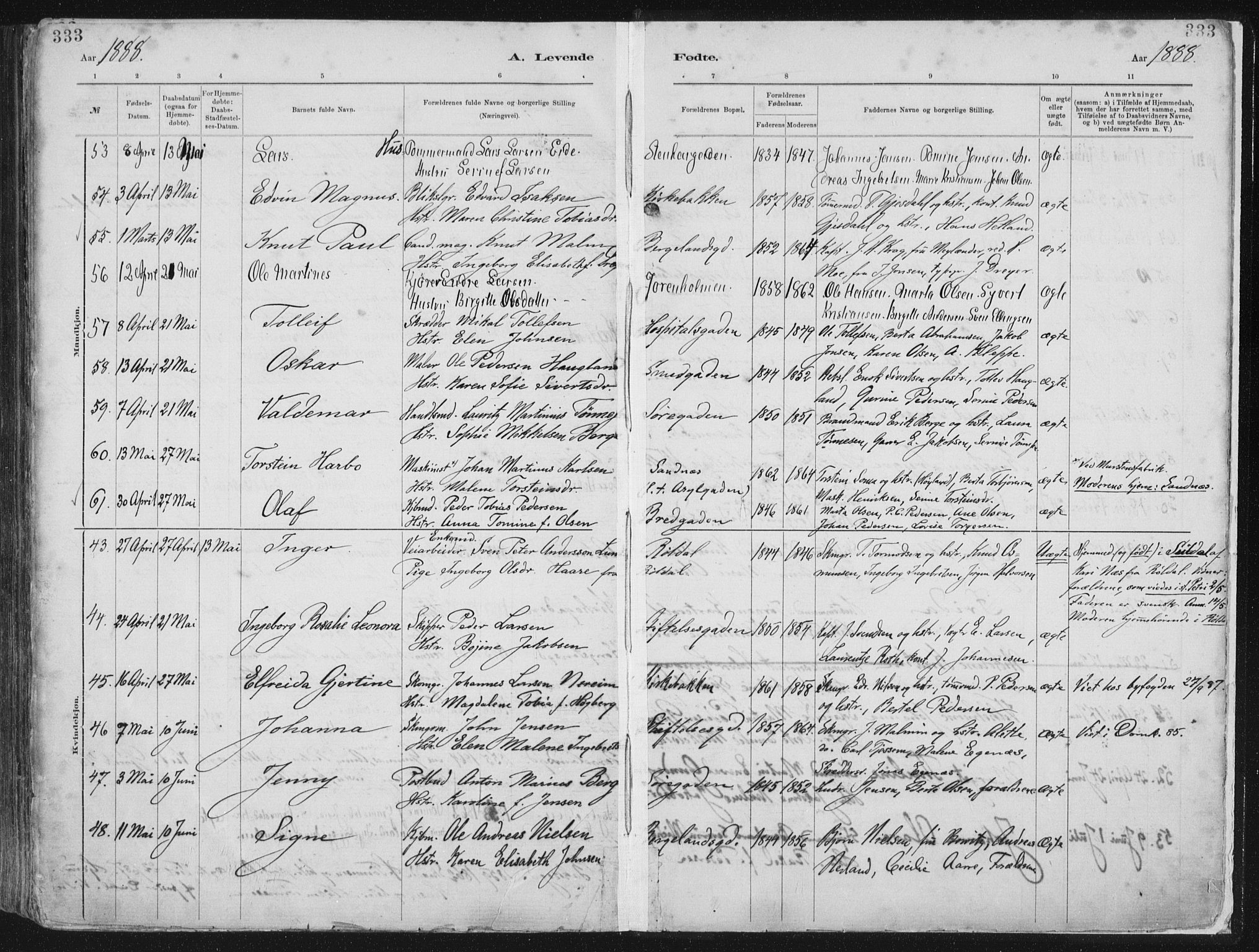 St. Petri sokneprestkontor, AV/SAST-A-101813/001/30/30BA/L0015: Parish register (official) no. A 15, 1879-1888, p. 333