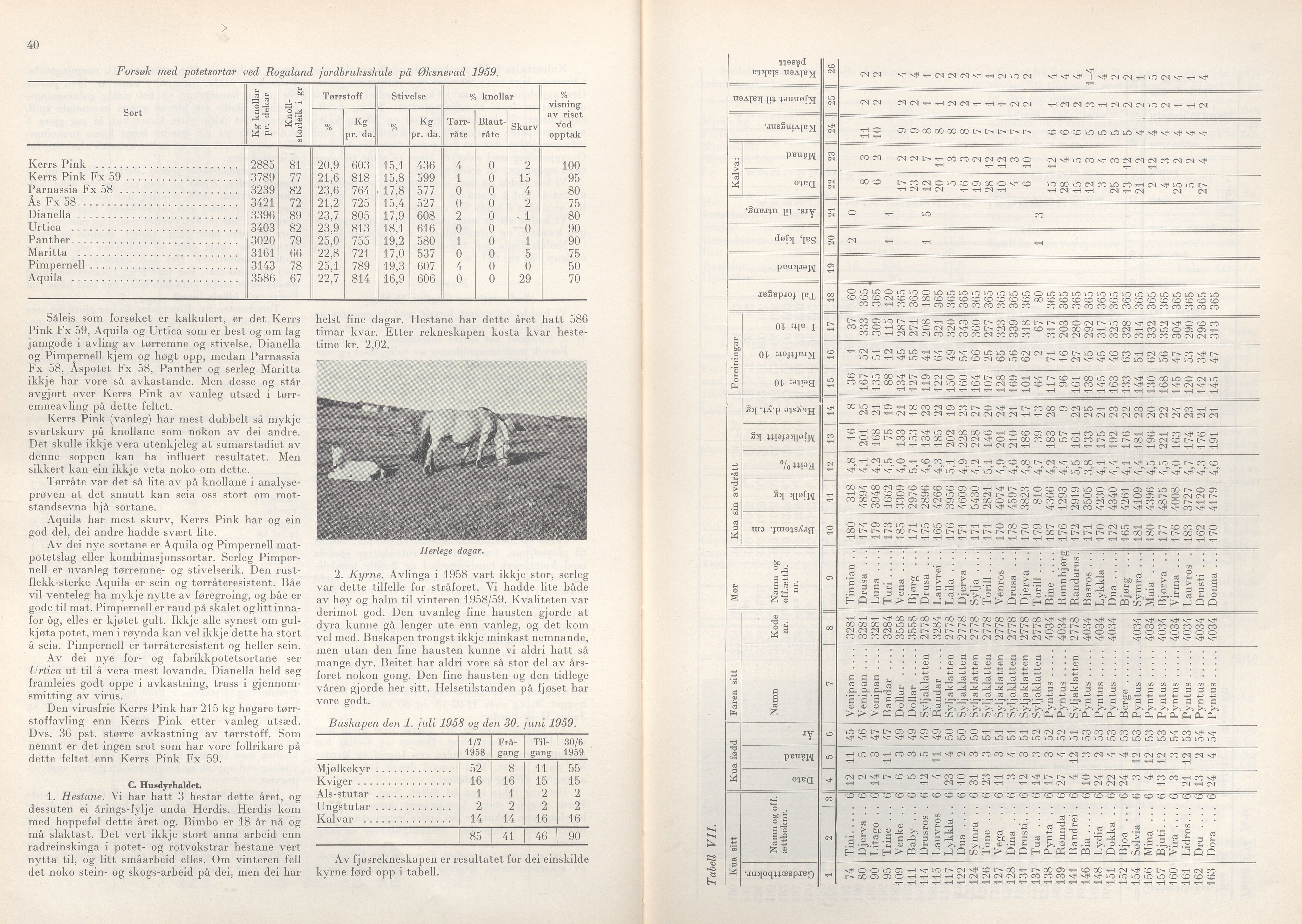 Rogaland fylkeskommune - Fylkesrådmannen , IKAR/A-900/A/Aa/Aaa/L0079: Møtebok , 1960, p. 40-41