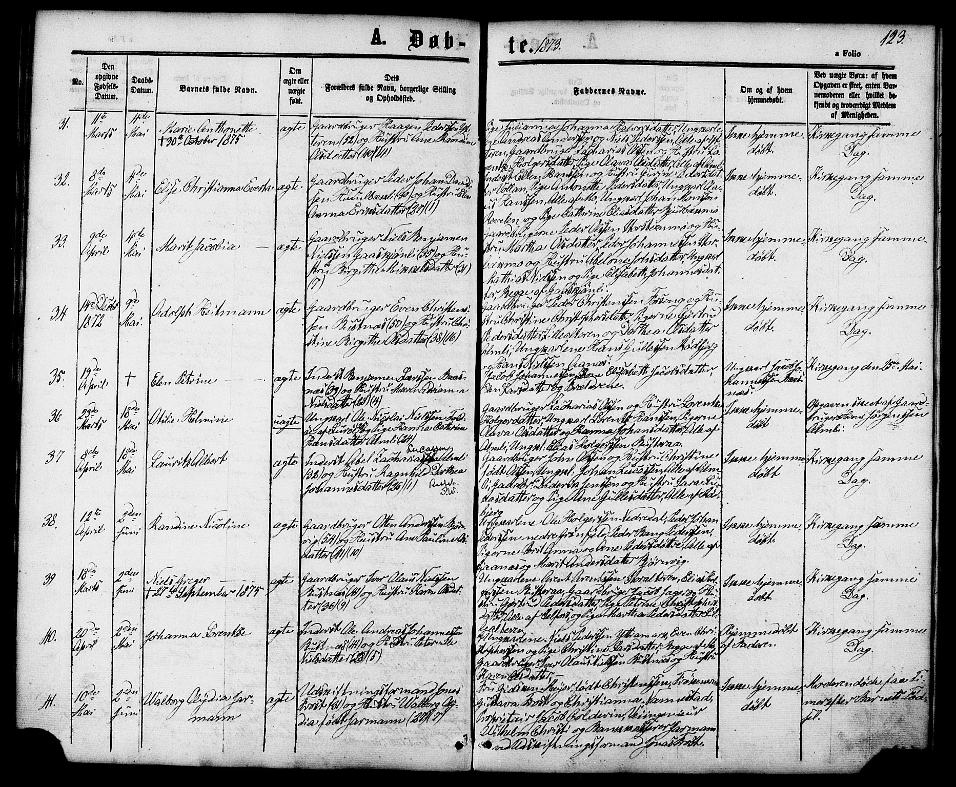 Ministerialprotokoller, klokkerbøker og fødselsregistre - Nordland, AV/SAT-A-1459/827/L0393: Parish register (official) no. 827A05, 1863-1883, p. 123