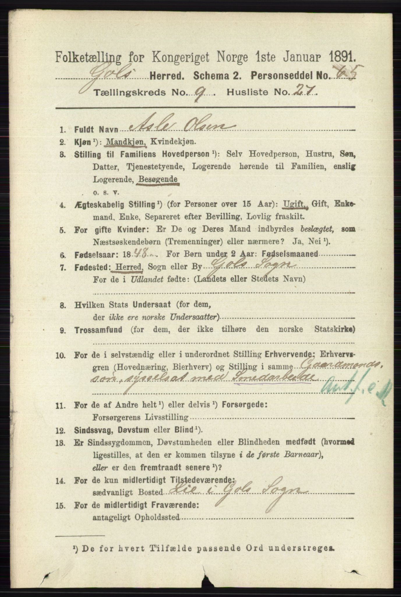 RA, 1891 census for 0617 Gol og Hemsedal, 1891, p. 3557