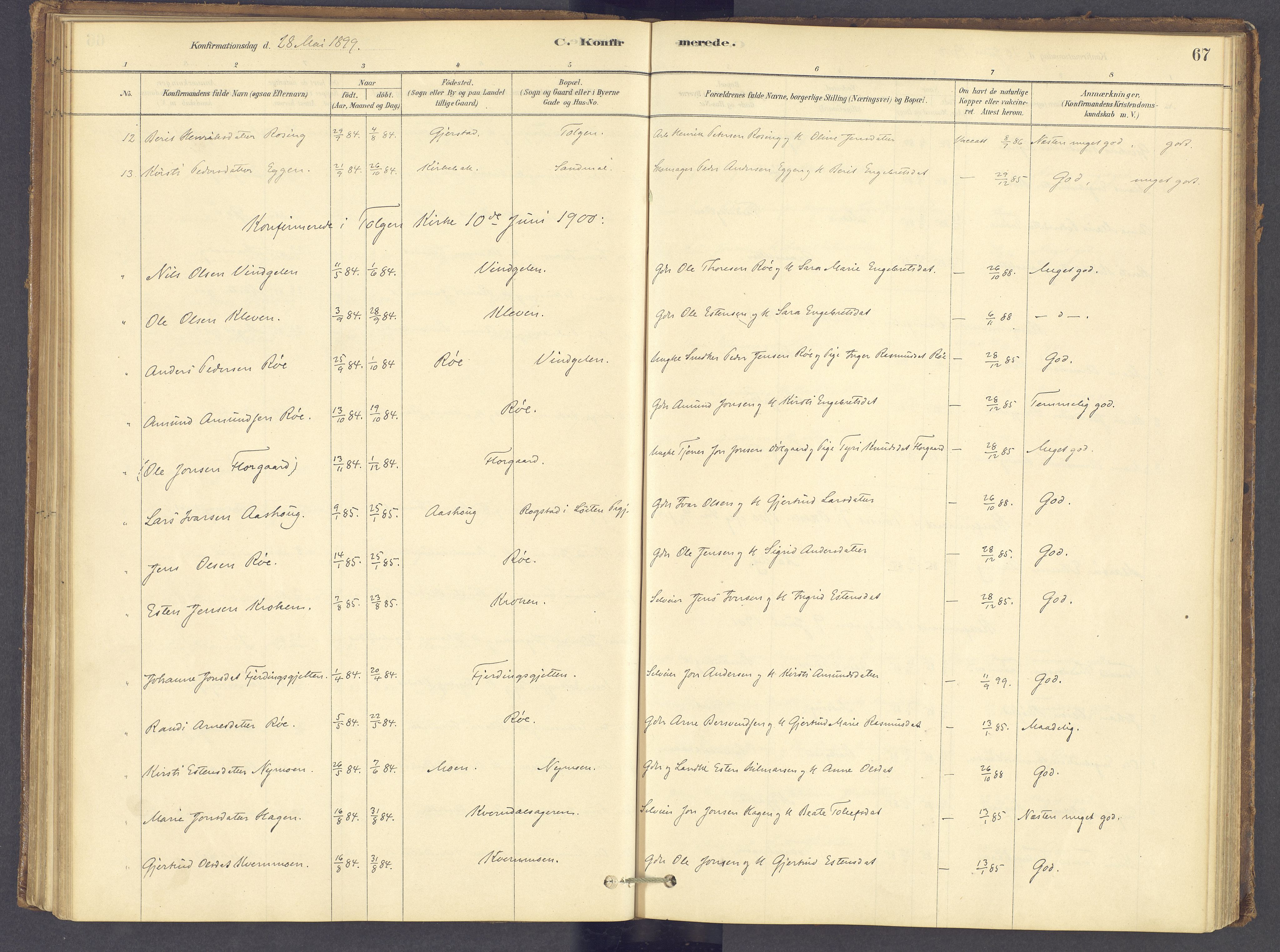 Tolga prestekontor, AV/SAH-PREST-062/K/L0012: Parish register (official) no. 12, 1877-1925, p. 67