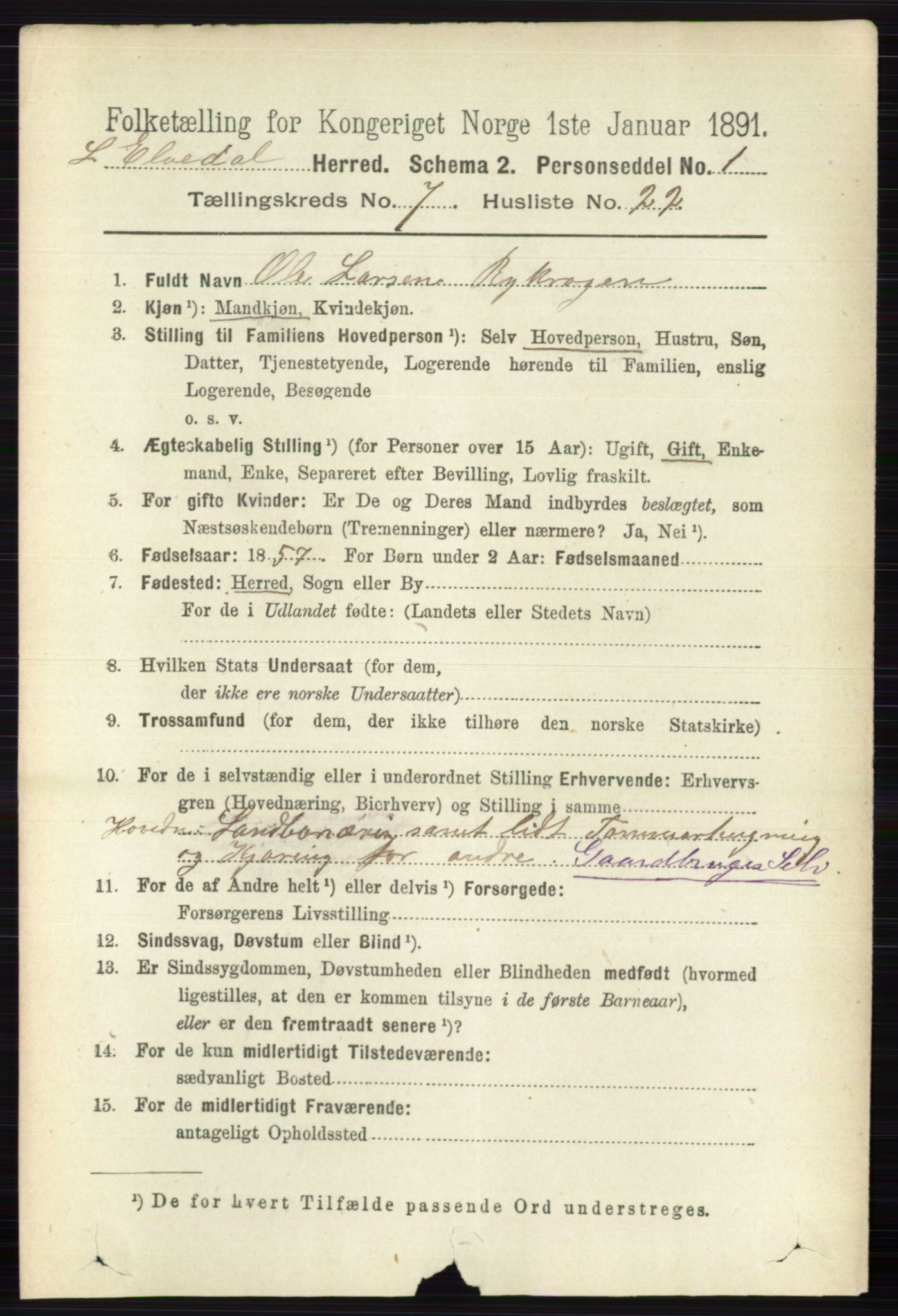 RA, 1891 census for 0438 Lille Elvedalen, 1891, p. 2419