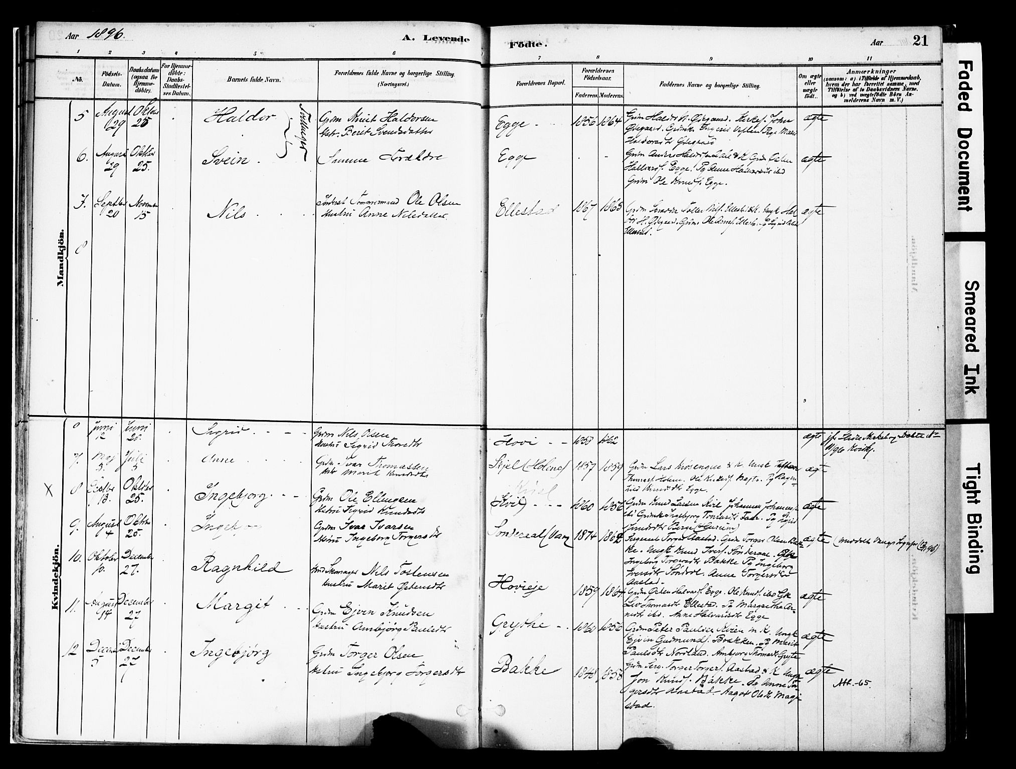 Vestre Slidre prestekontor, SAH/PREST-136/H/Ha/Haa/L0005: Parish register (official) no. 5, 1881-1912, p. 21