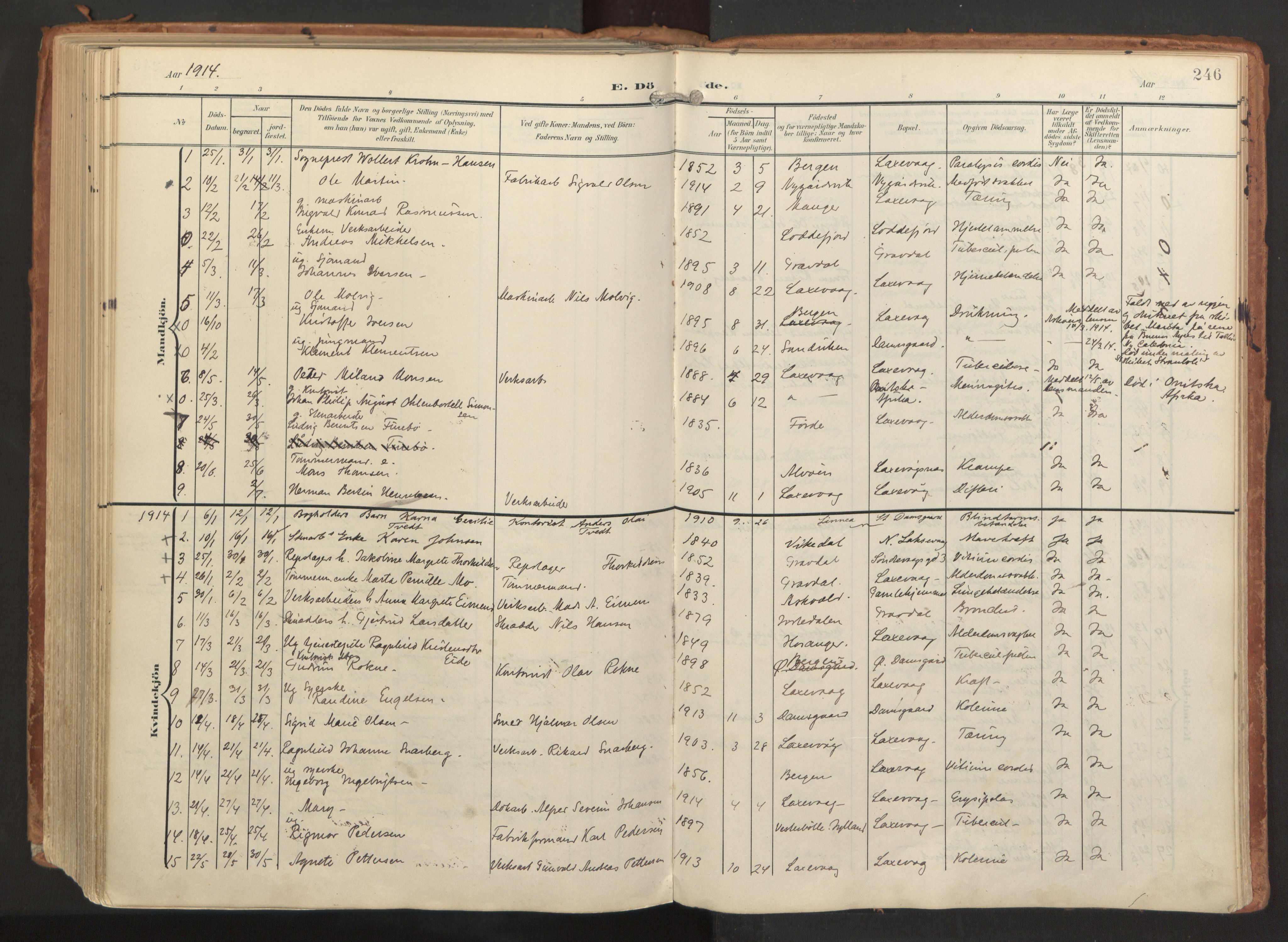 Laksevåg Sokneprestembete, AV/SAB-A-76501/H/Ha/Haa/Haaa/L0001: Parish register (official) no. A 1, 1903-1917, p. 246