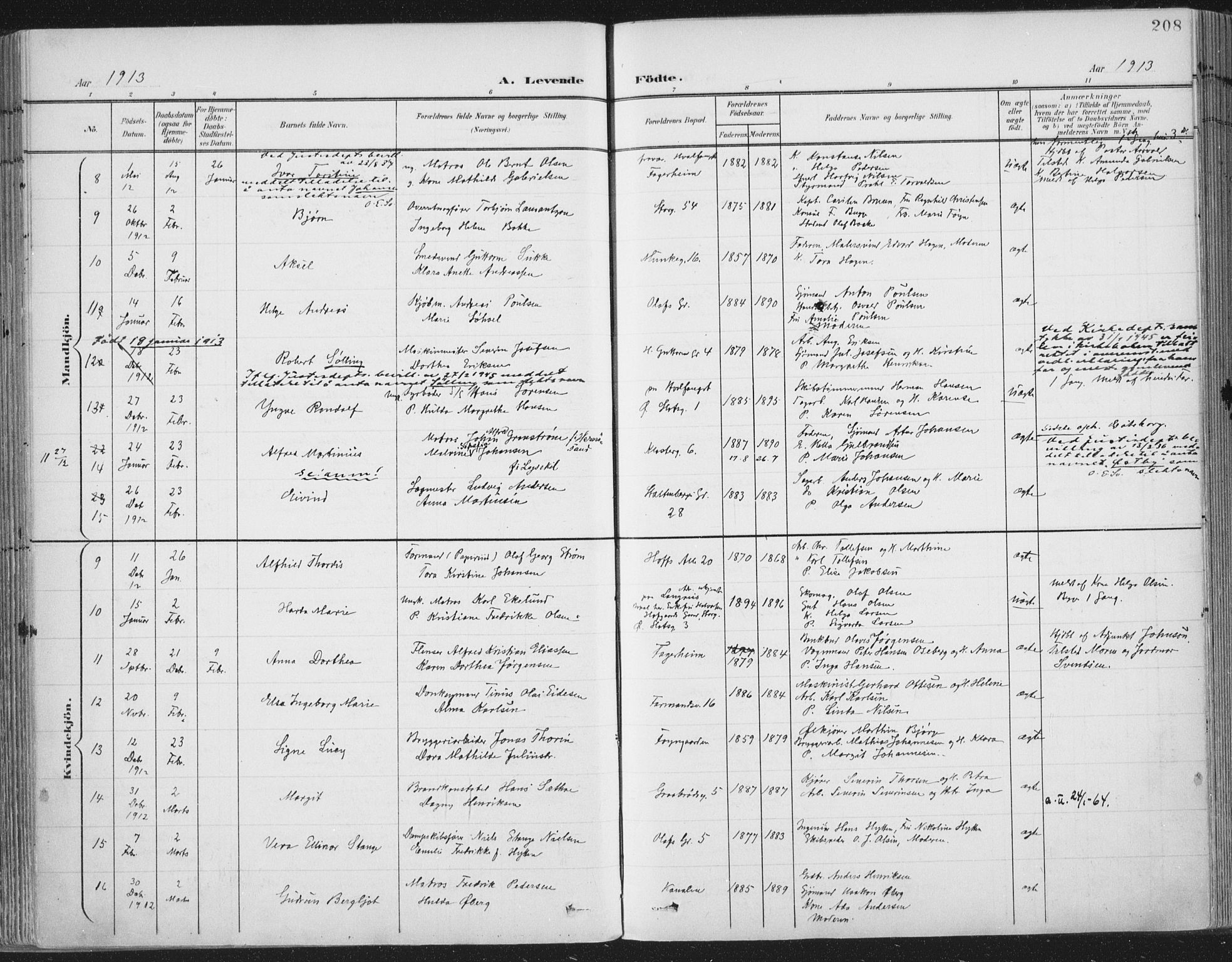 Tønsberg kirkebøker, AV/SAKO-A-330/F/Fa/L0014: Parish register (official) no. I 14, 1900-1913, p. 208