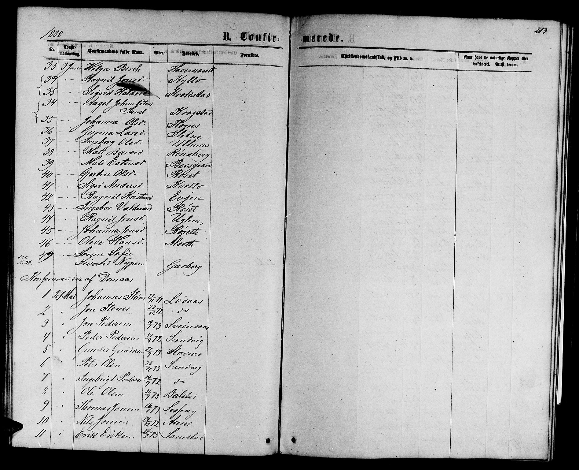 Ministerialprotokoller, klokkerbøker og fødselsregistre - Sør-Trøndelag, SAT/A-1456/695/L1156: Parish register (copy) no. 695C07, 1869-1888, p. 213
