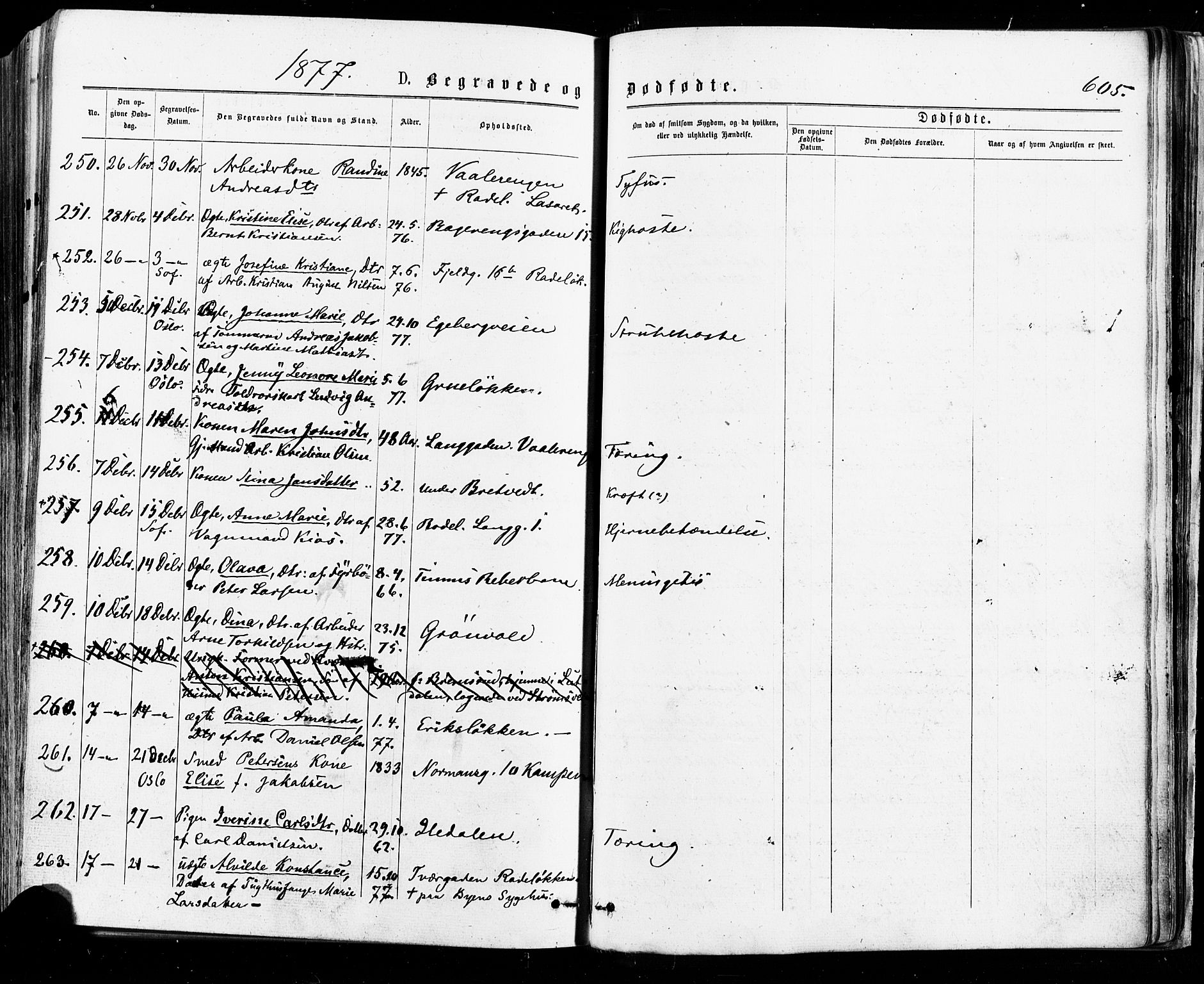 Østre Aker prestekontor Kirkebøker, AV/SAO-A-10840/F/Fa/L0004: Parish register (official) no. I 4, 1876-1889, p. 605