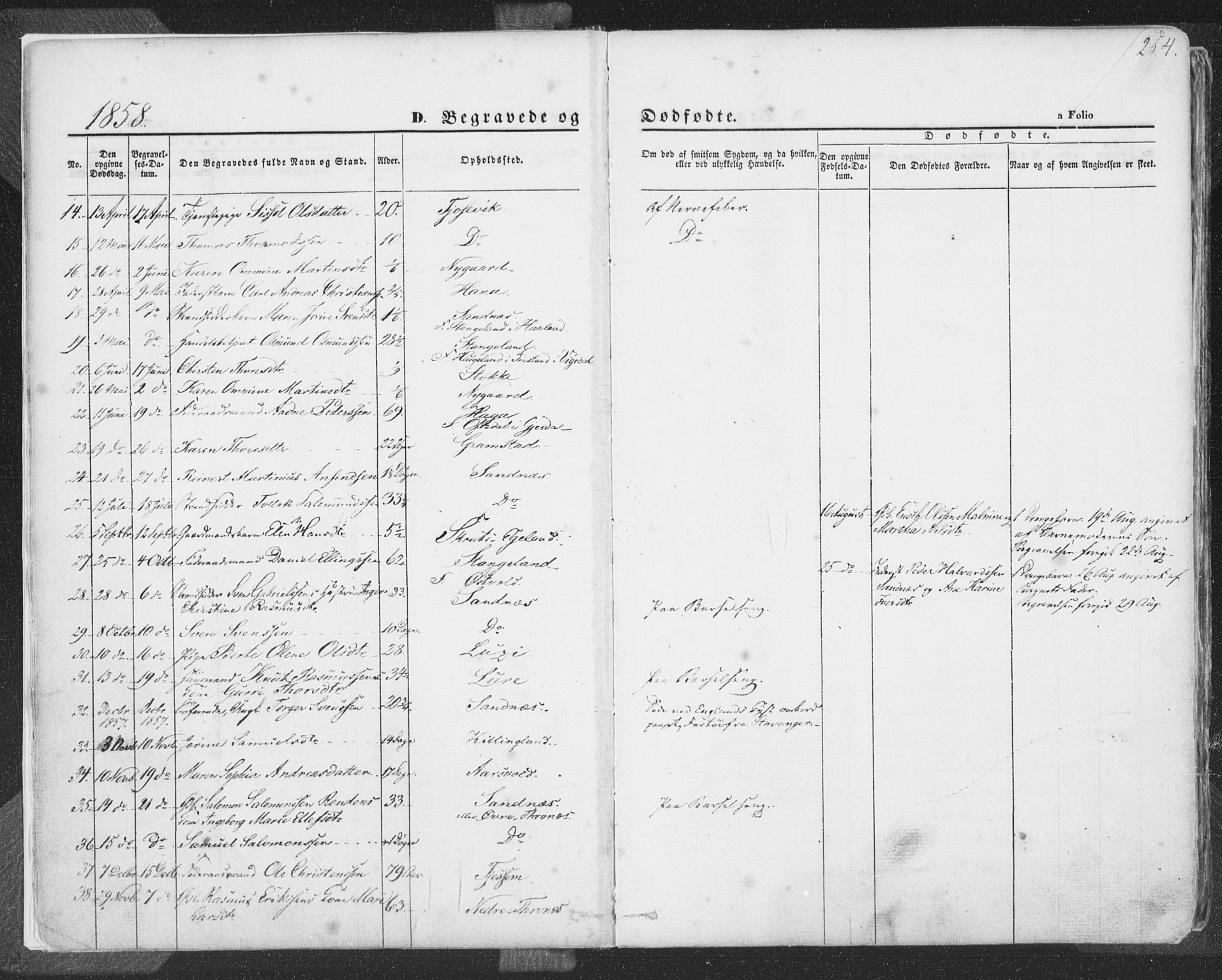 Høyland sokneprestkontor, SAST/A-101799/001/30BA/L0009: Parish register (official) no. A 9.2, 1857-1877, p. 254