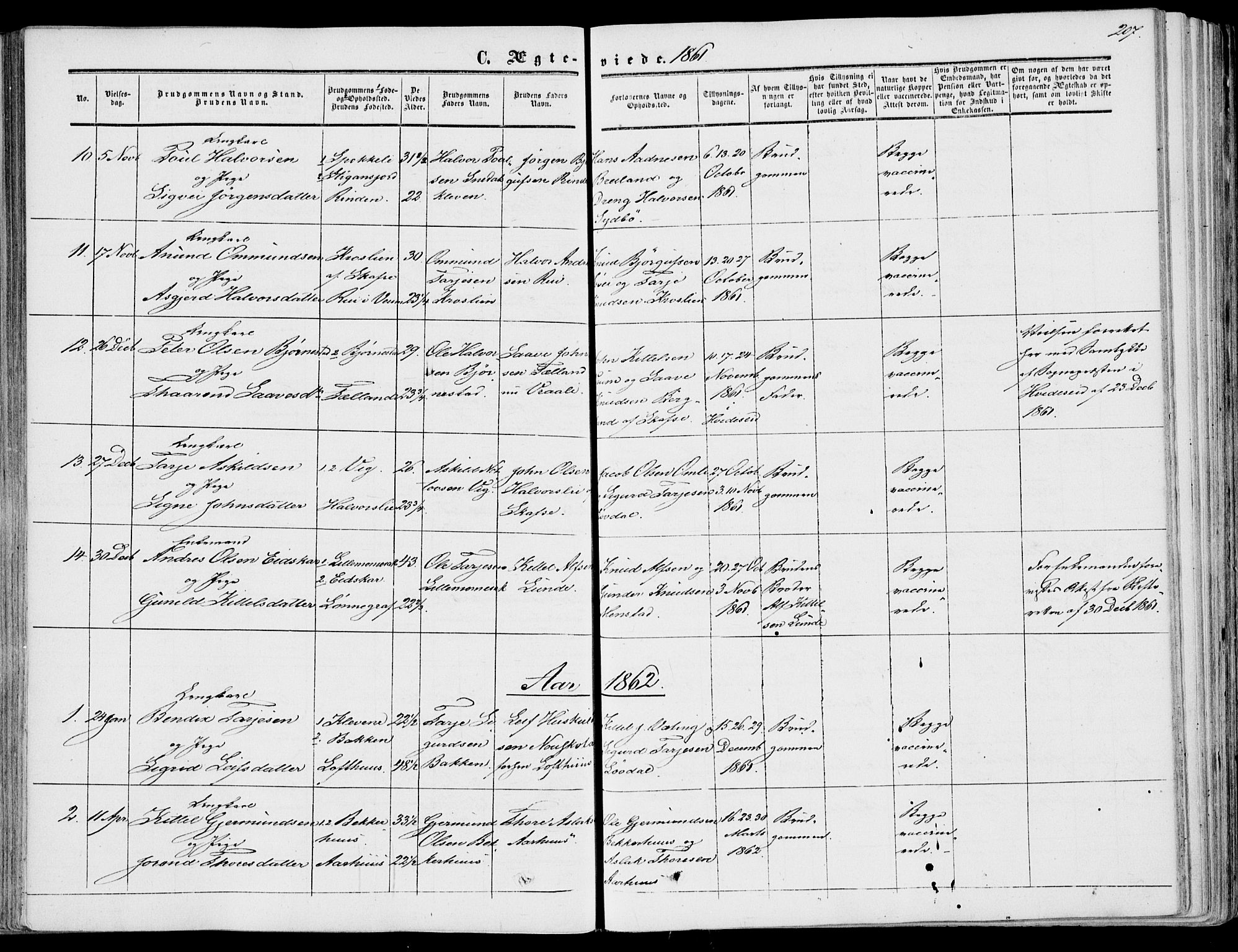 Fyresdal kirkebøker, SAKO/A-263/F/Fa/L0005: Parish register (official) no. I 5, 1855-1871, p. 207