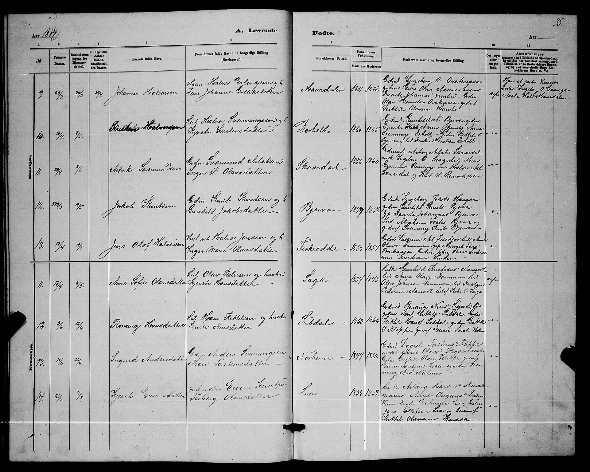 Lunde kirkebøker, AV/SAKO-A-282/G/Ga/L0001b: Parish register (copy) no. I 1, 1879-1887, p. 35