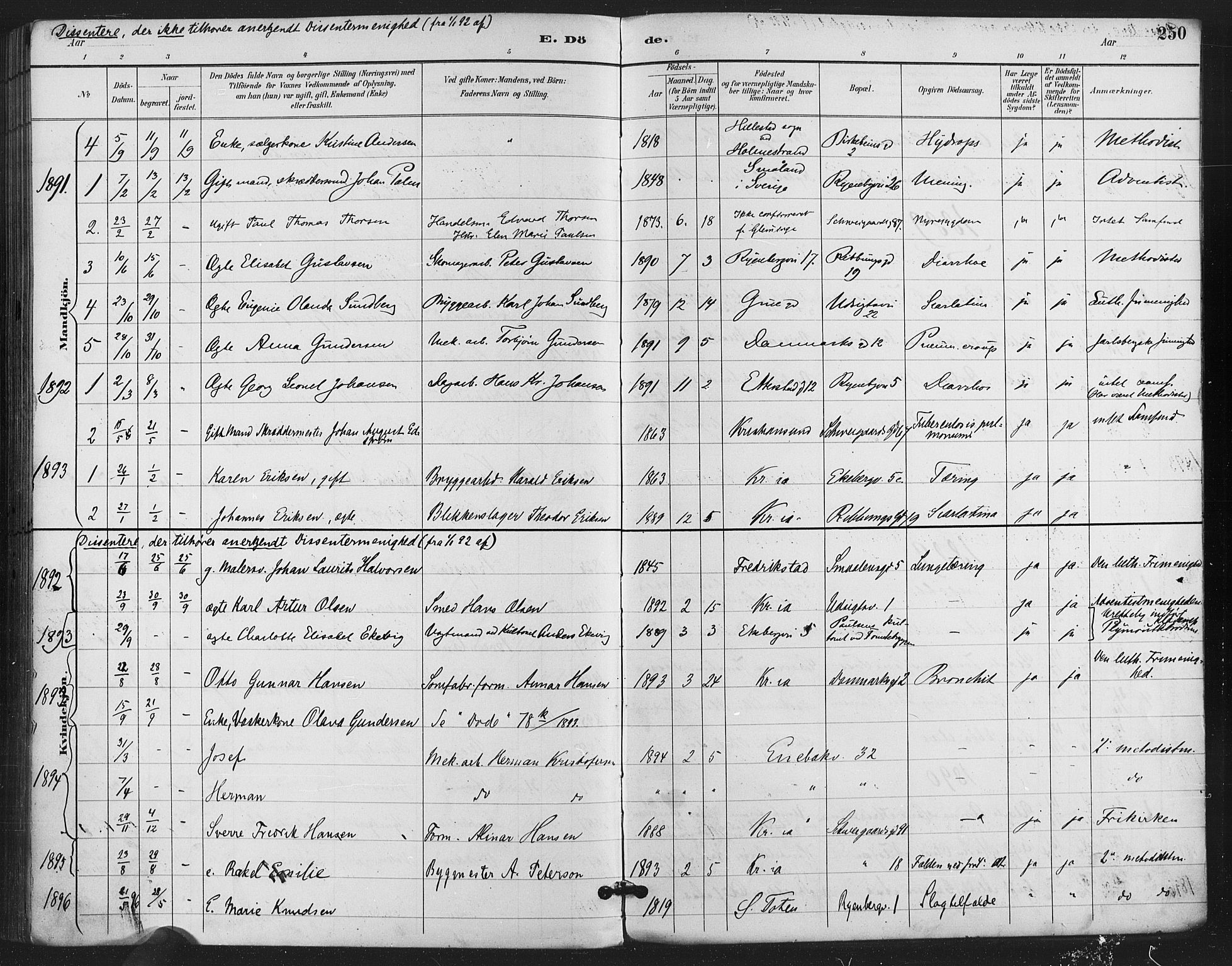 Gamlebyen prestekontor Kirkebøker, SAO/A-10884/F/Fa/L0009: Parish register (official) no. 9, 1888-1909, p. 250