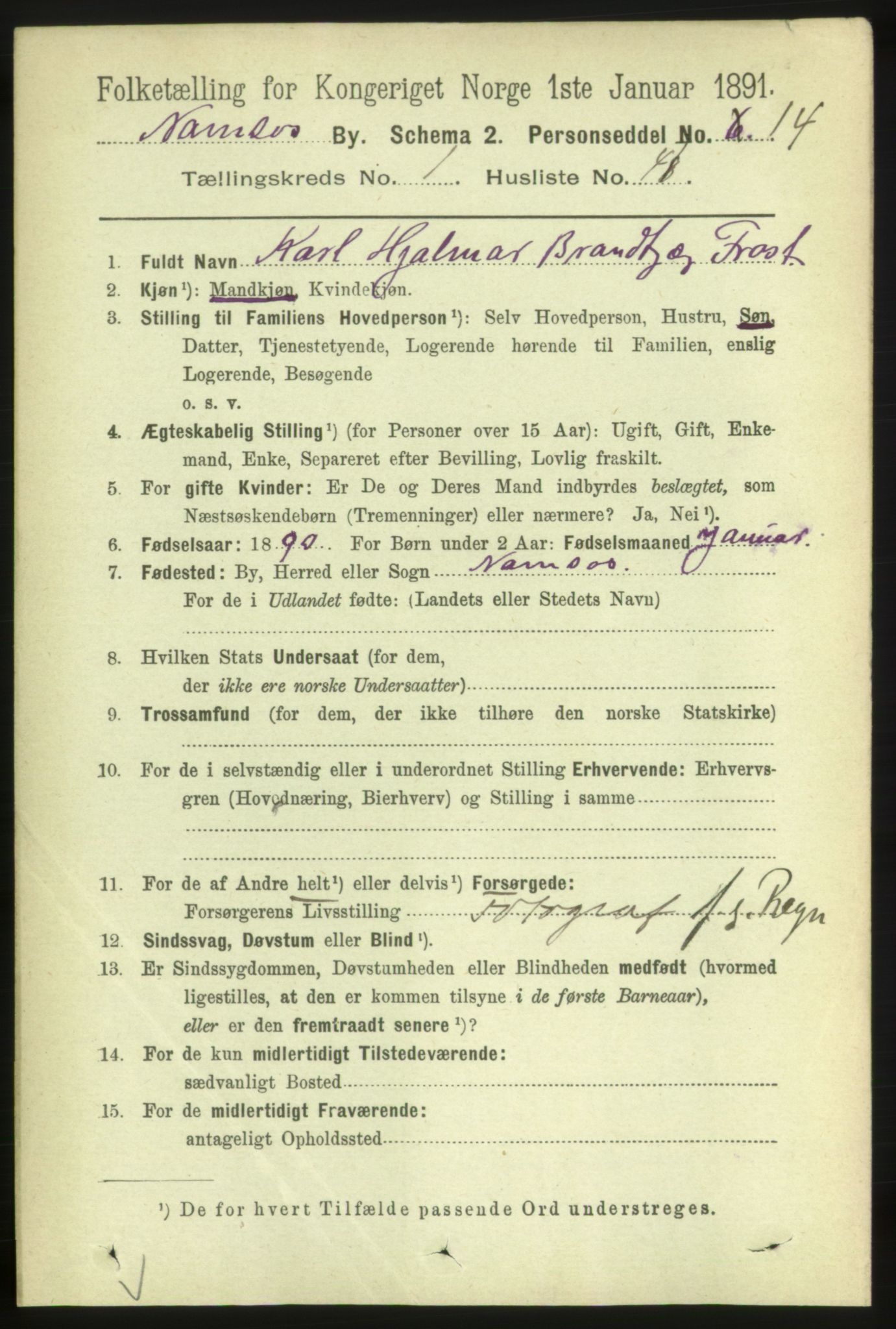 RA, 1891 census for 1703 Namsos, 1891, p. 395