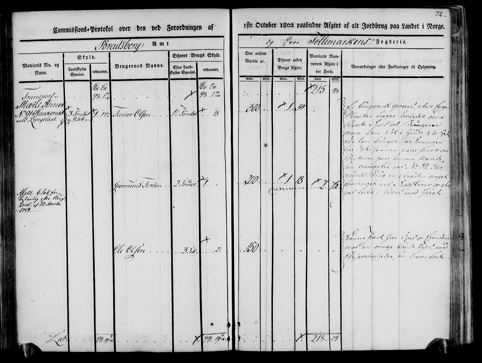 Rentekammeret inntil 1814, Realistisk ordnet avdeling, AV/RA-EA-4070/N/Ne/Nea/L0074: Øvre Telemarken fogderi. Kommisjonsprotokoll for fogderiets østre del - Tinn, Hjartdal og Seljord prestegjeld., 1803, p. 72