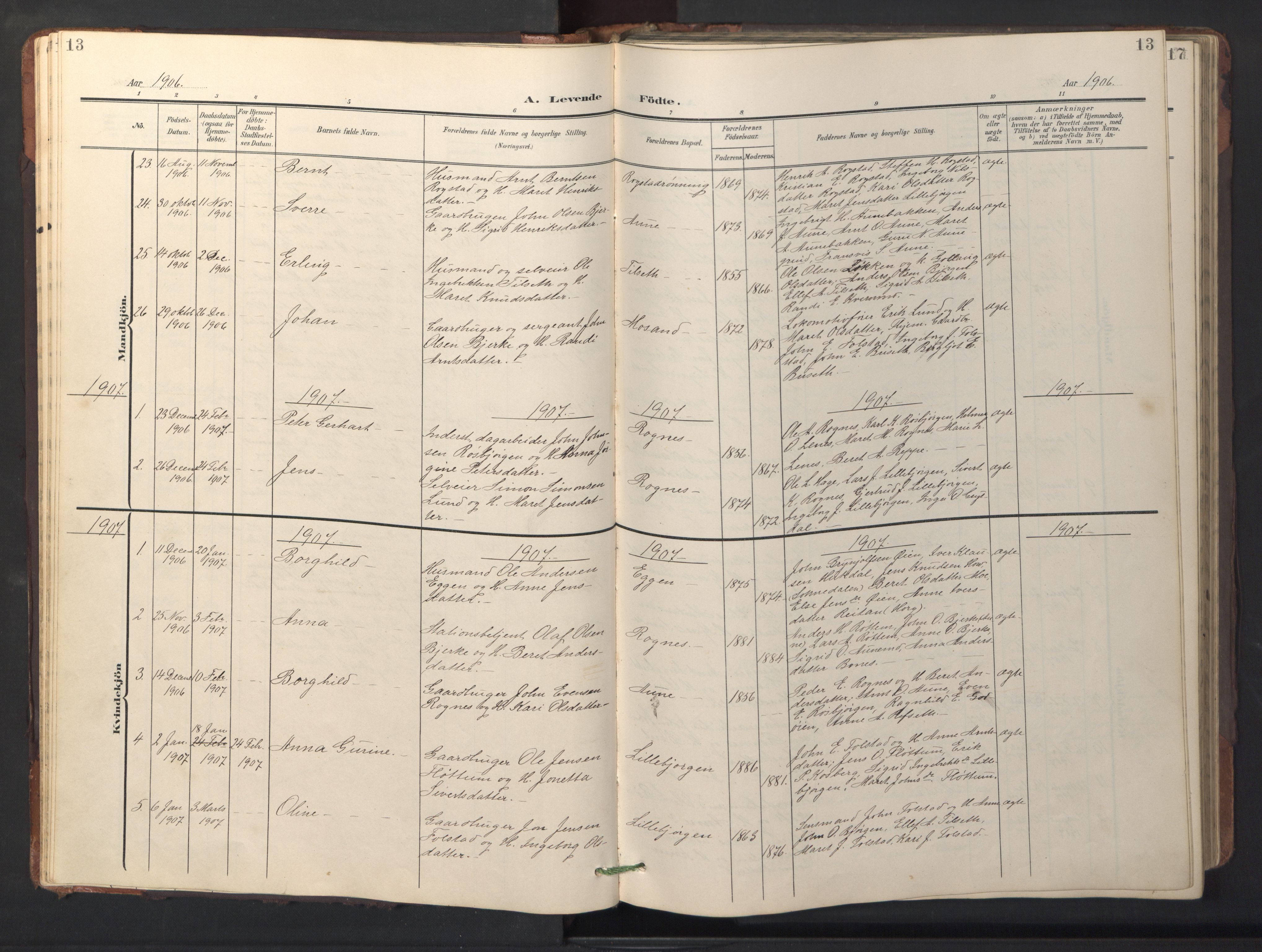 Ministerialprotokoller, klokkerbøker og fødselsregistre - Sør-Trøndelag, SAT/A-1456/687/L1019: Parish register (copy) no. 687C03, 1904-1931, p. 13