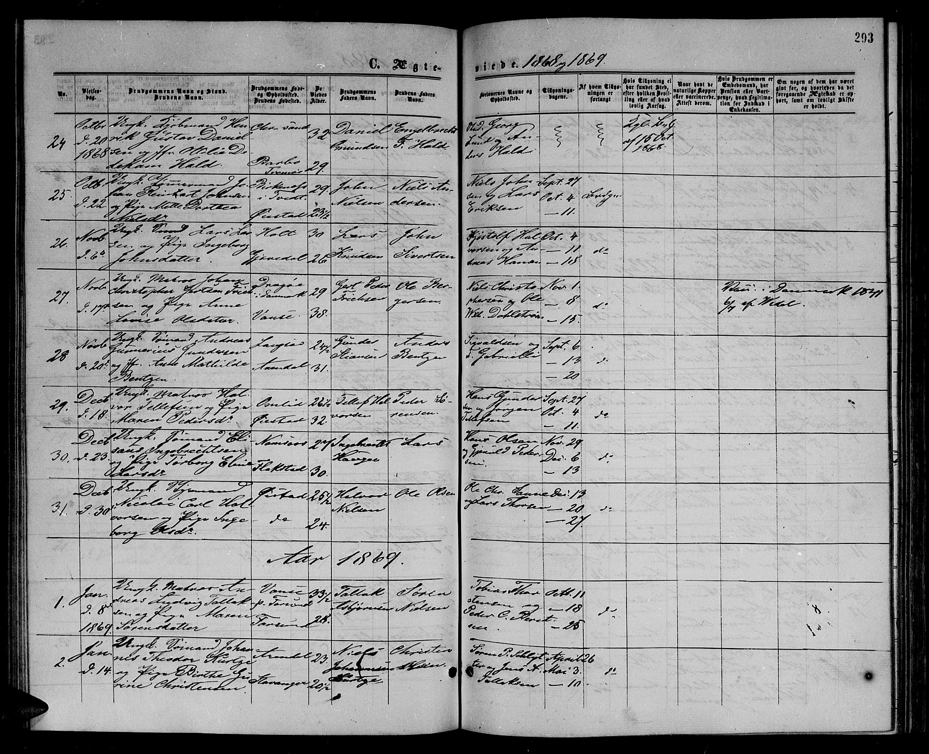 Arendal sokneprestkontor, Trefoldighet, SAK/1111-0040/F/Fb/L0004: Parish register (copy) no. B 4, 1861-1873, p. 293
