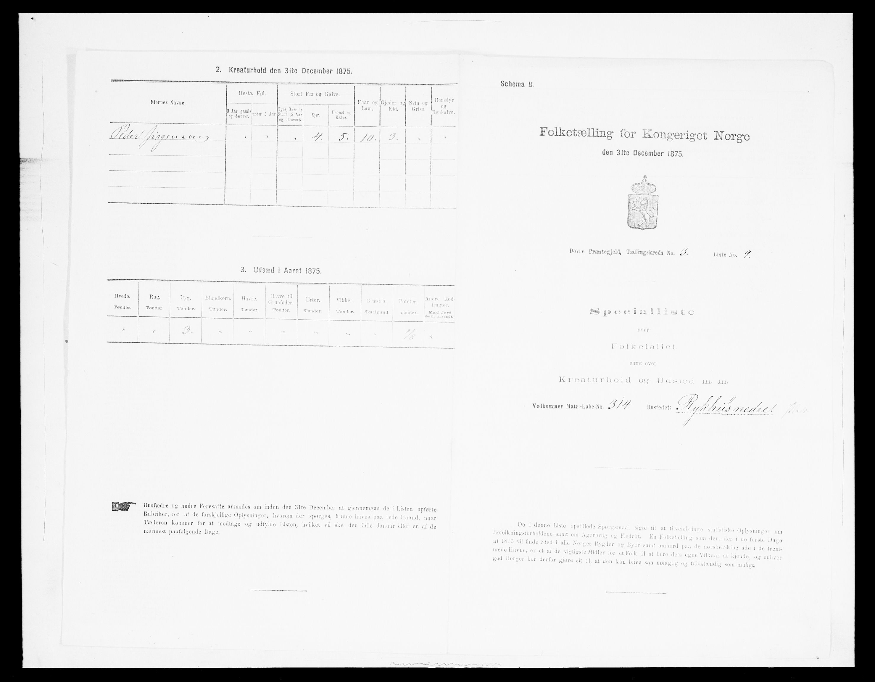 SAH, 1875 census for 0511P Dovre, 1875, p. 474