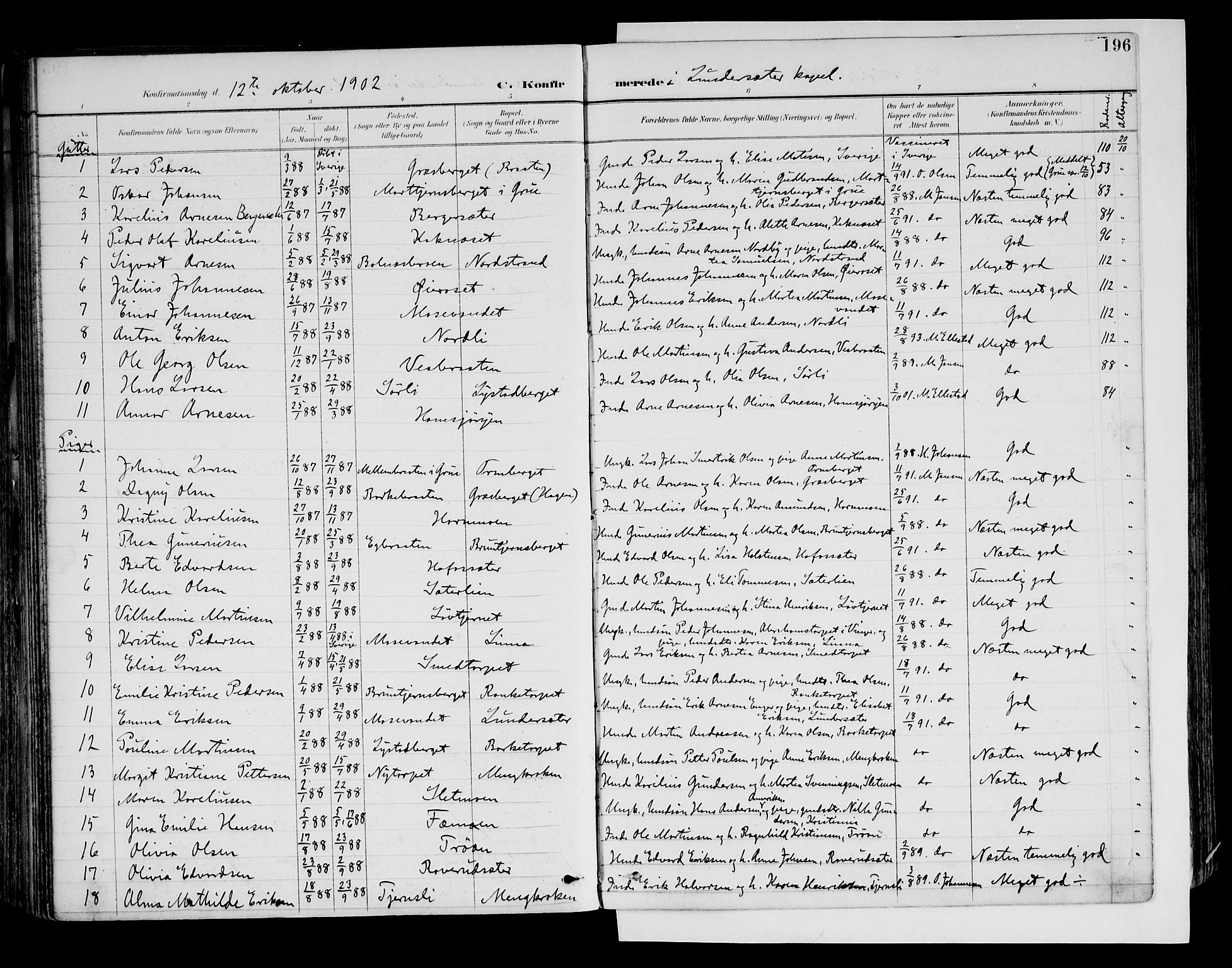 Brandval prestekontor, AV/SAH-PREST-034/H/Ha/Haa/L0003: Parish register (official) no. 3, 1894-1909, p. 196