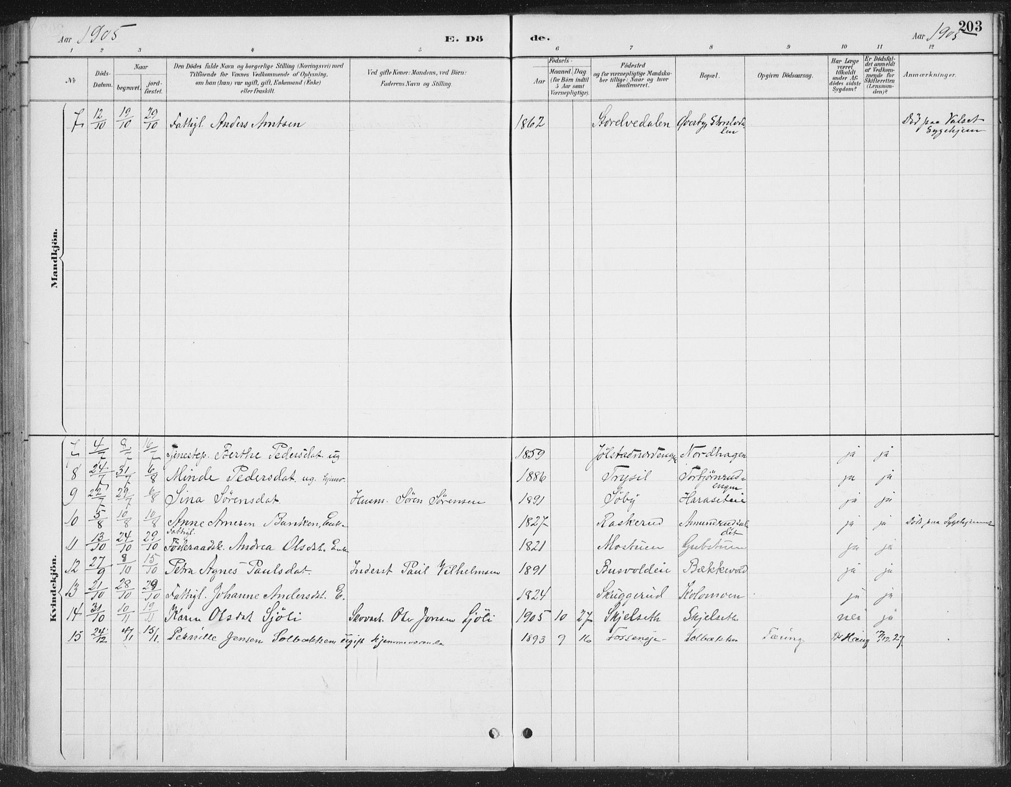 Romedal prestekontor, SAH/PREST-004/K/L0008: Parish register (official) no. 8, 1887-1905, p. 203