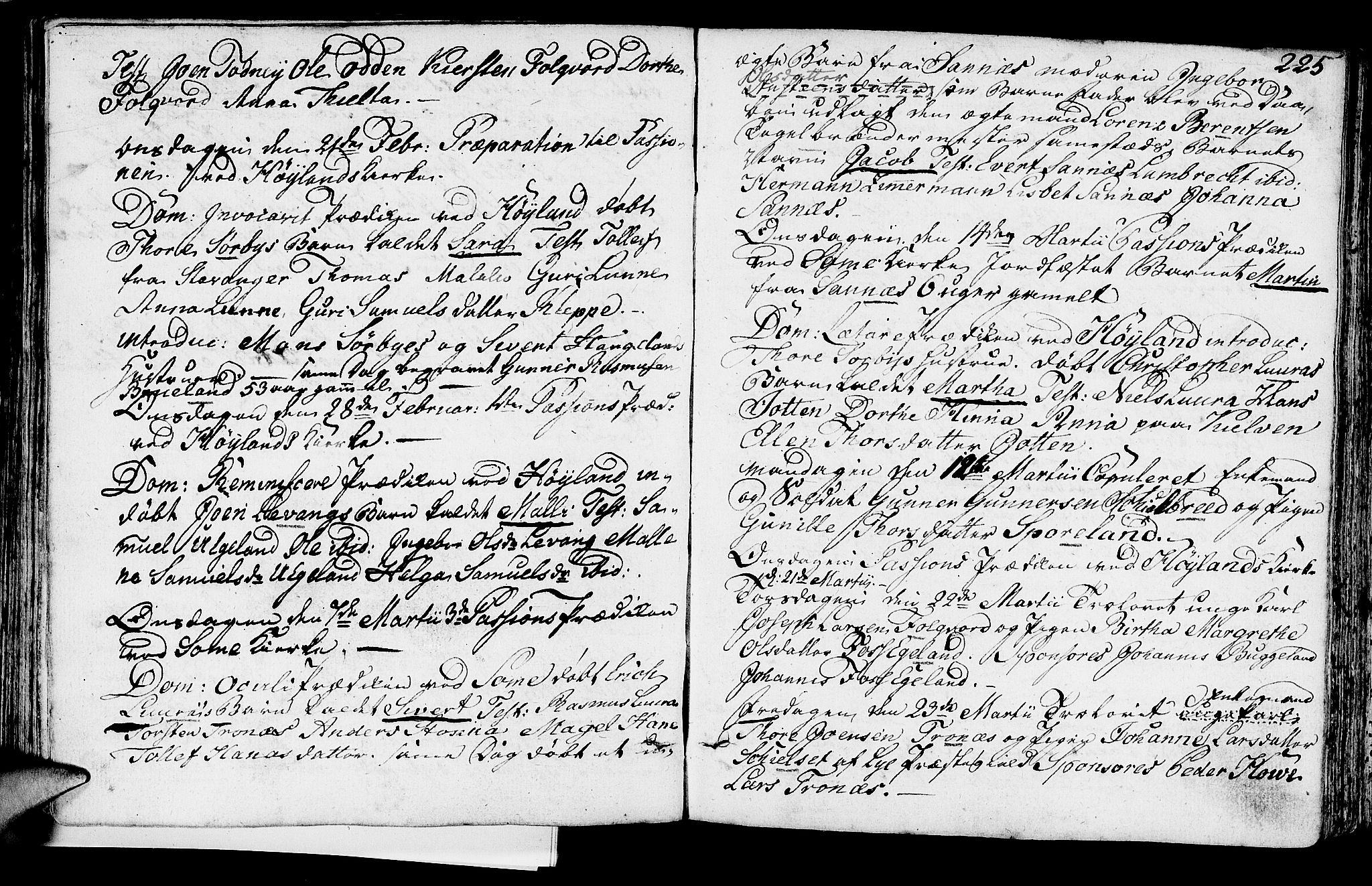 Høyland sokneprestkontor, AV/SAST-A-101799/001/30BA/L0004: Parish register (official) no. A 4, 1784-1803, p. 225