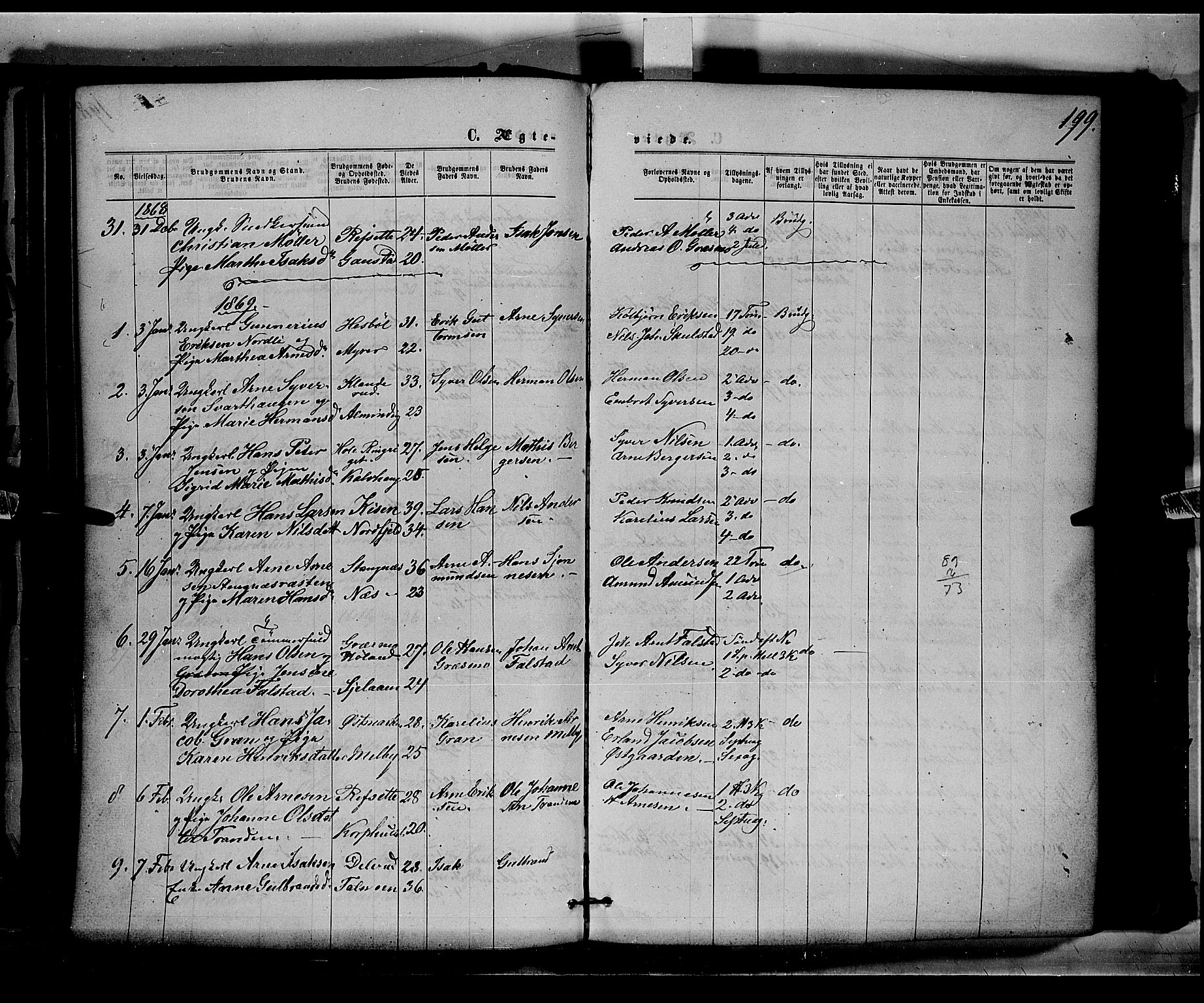 Eidskog prestekontor, AV/SAH-PREST-026/H/Ha/Haa/L0002: Parish register (official) no. 2, 1867-1878, p. 199