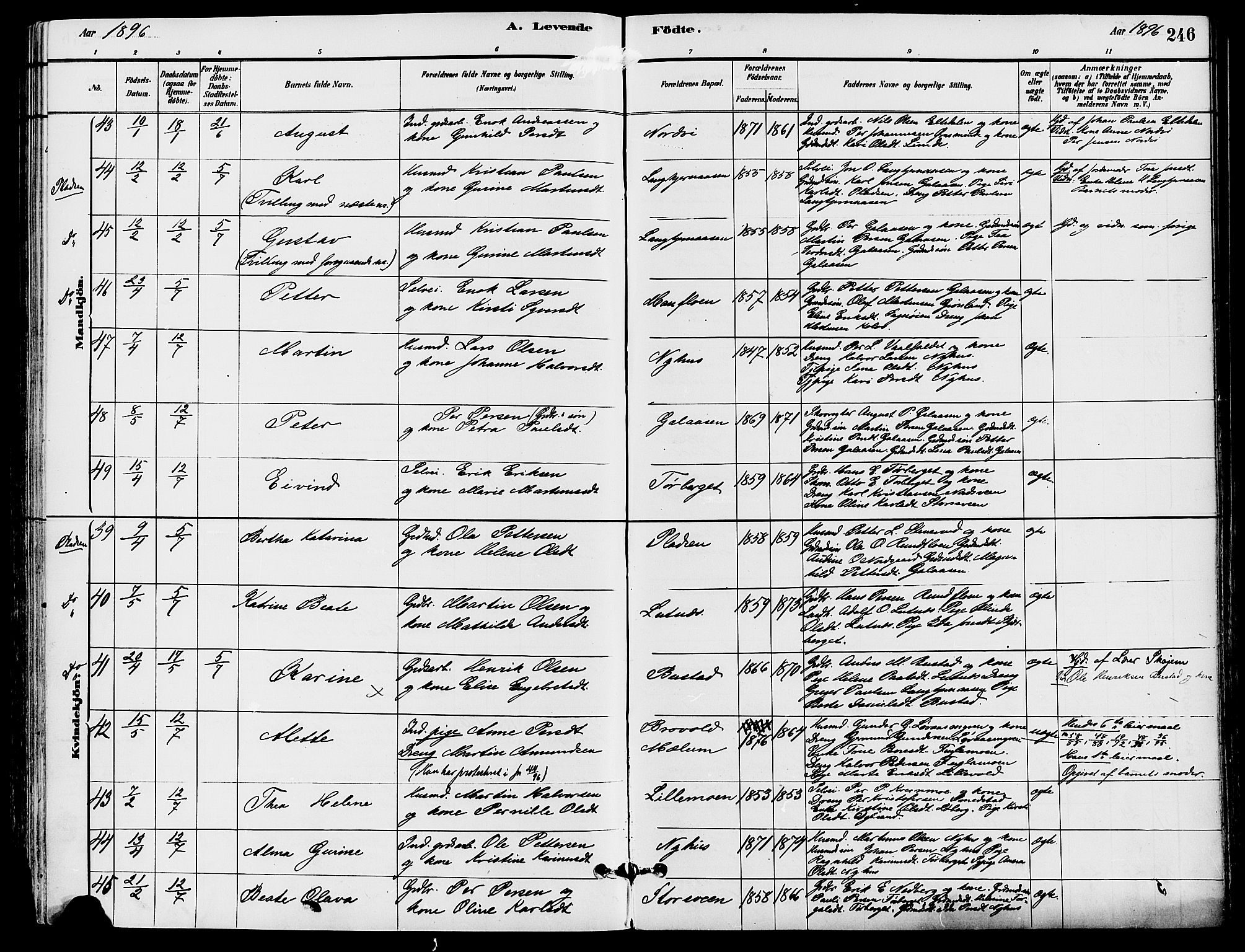 Trysil prestekontor, SAH/PREST-046/H/Ha/Haa/L0008: Parish register (official) no. 8, 1881-1897, p. 246