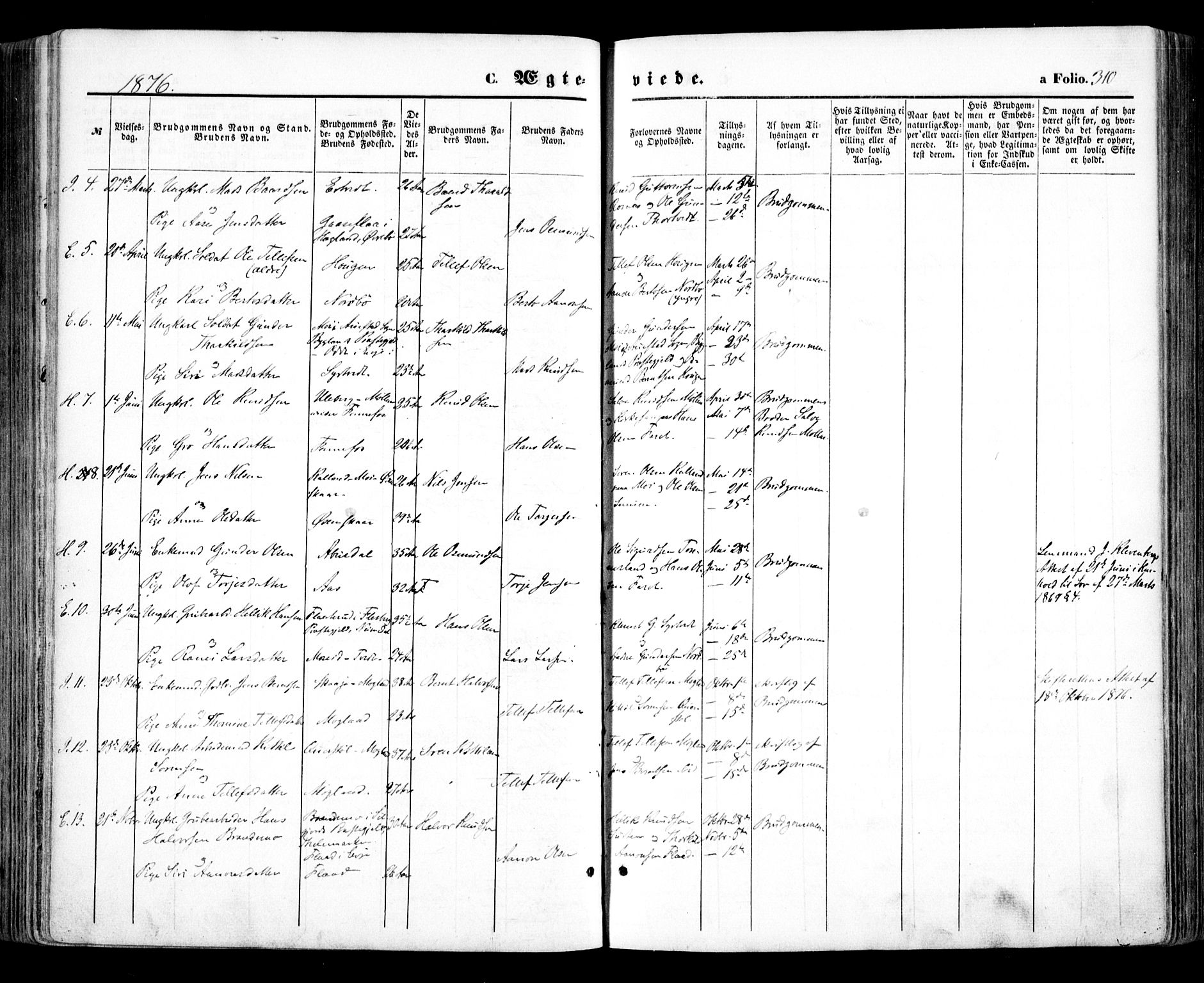 Evje sokneprestkontor, SAK/1111-0008/F/Fa/Faa/L0006: Parish register (official) no. A 6, 1866-1884, p. 310