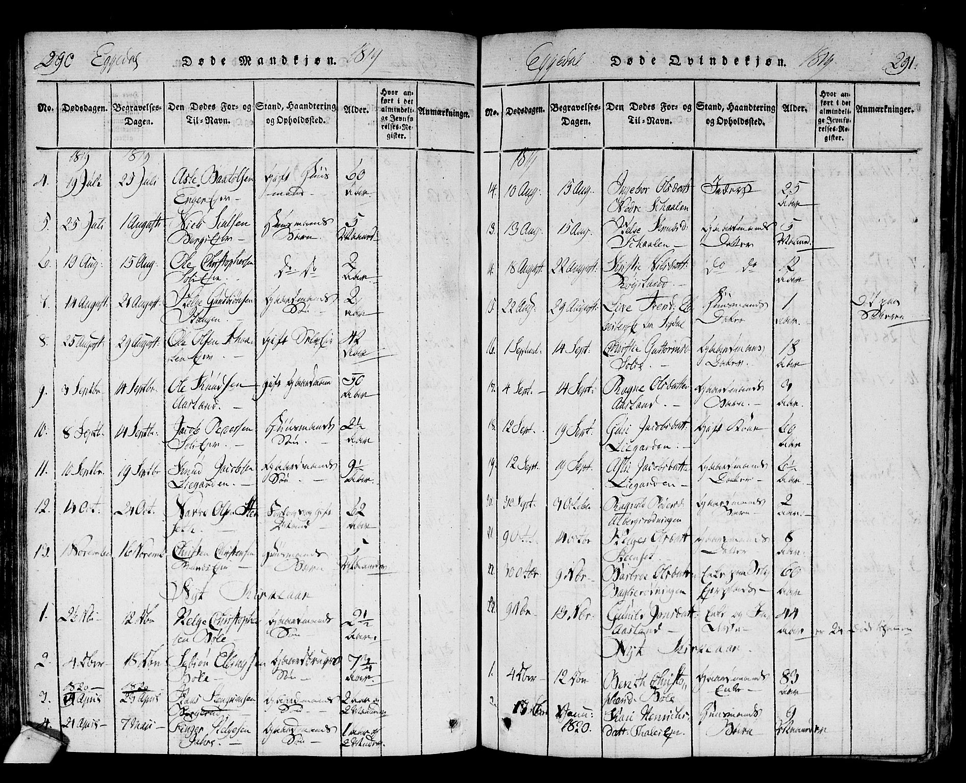 Sigdal kirkebøker, AV/SAKO-A-245/F/Fa/L0005: Parish register (official) no. I 5 /2, 1815-1829, p. 290-291