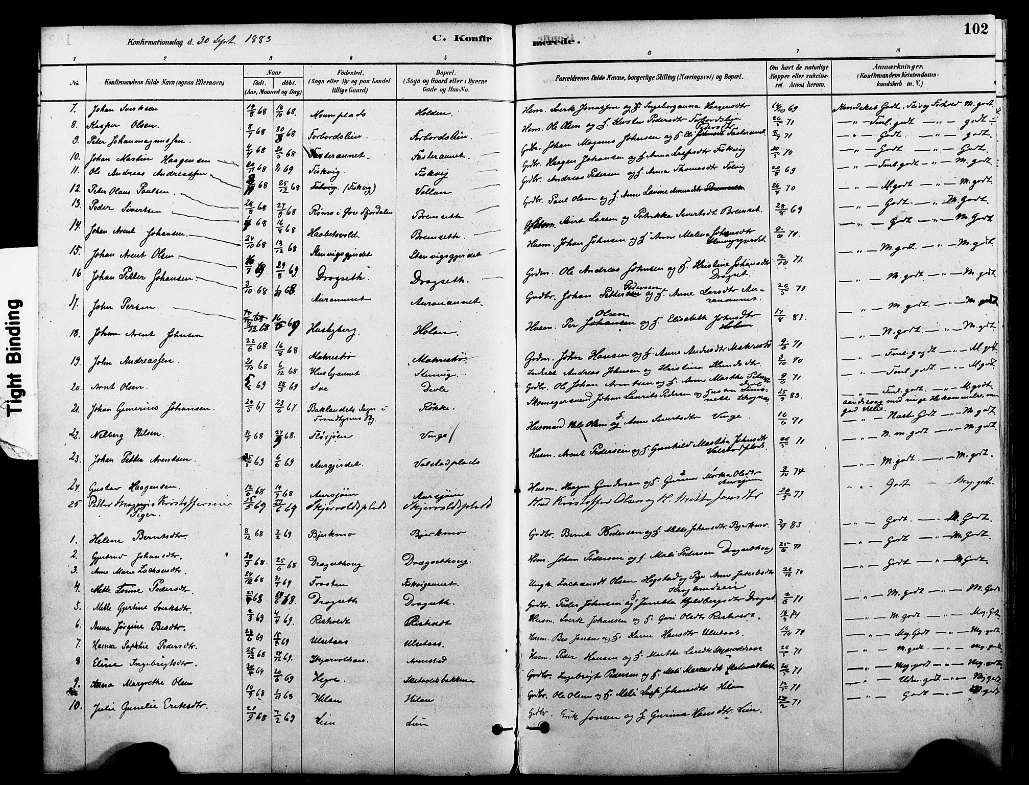 Ministerialprotokoller, klokkerbøker og fødselsregistre - Nord-Trøndelag, AV/SAT-A-1458/712/L0100: Parish register (official) no. 712A01, 1880-1900, p. 102