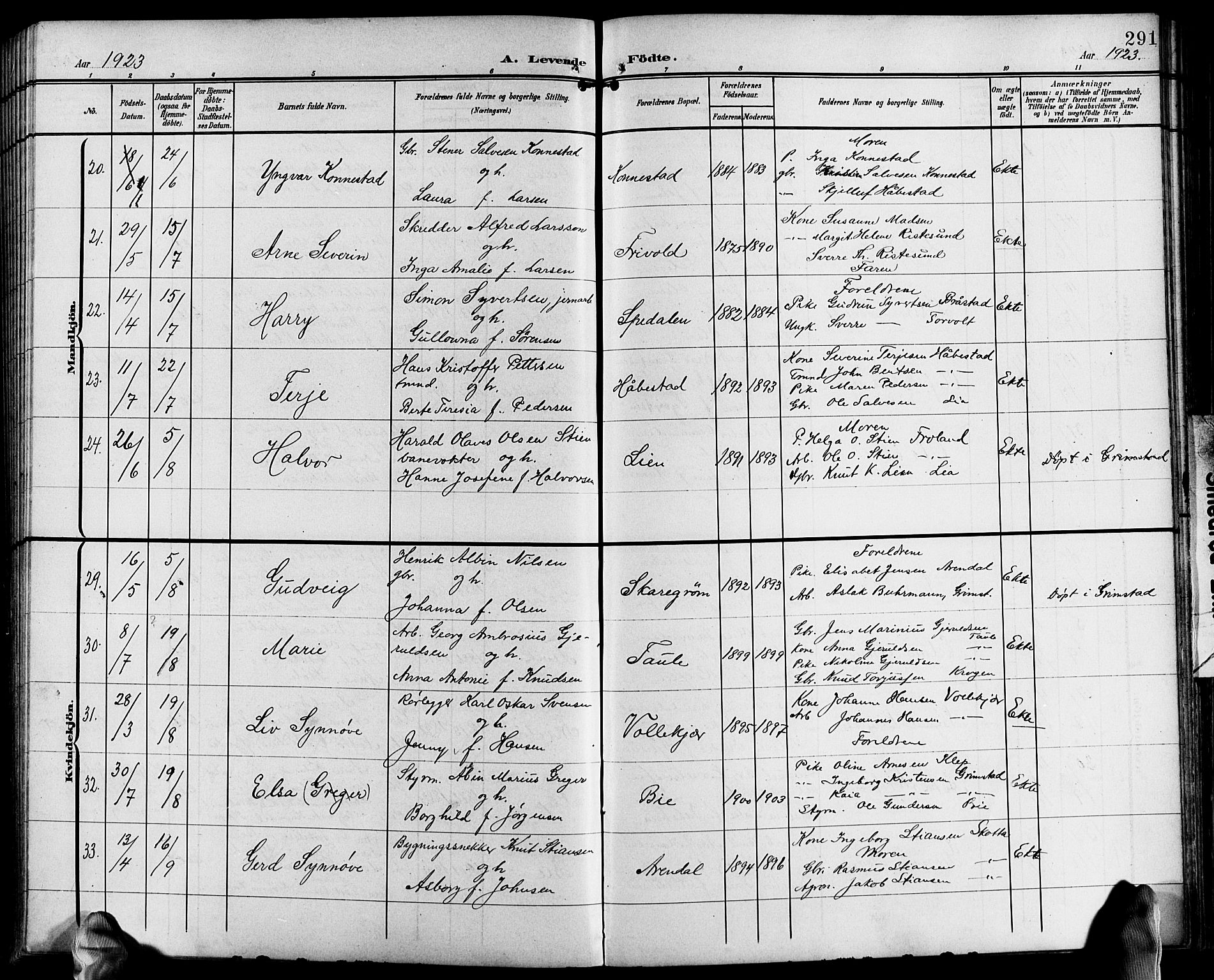 Fjære sokneprestkontor, AV/SAK-1111-0011/F/Fb/L0012: Parish register (copy) no. B 12, 1902-1925, p. 291