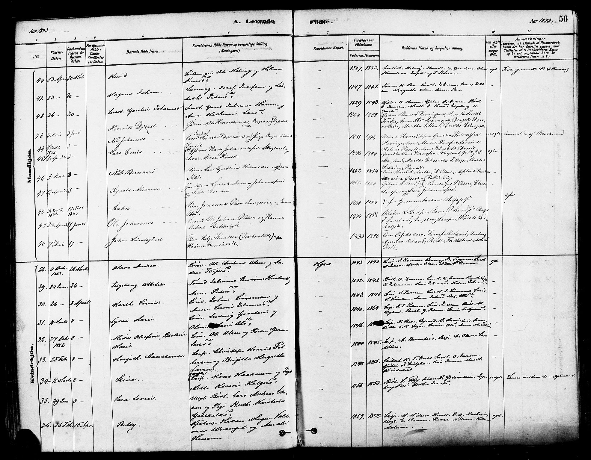 Haugesund sokneprestkontor, SAST/A -101863/H/Ha/Haa/L0001: Parish register (official) no. A 1, 1878-1885, p. 56