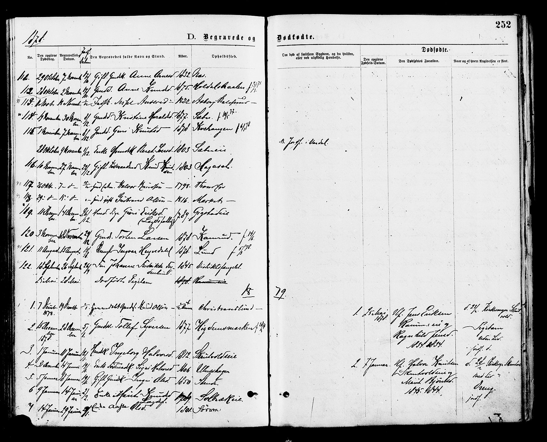 Nord-Aurdal prestekontor, SAH/PREST-132/H/Ha/Haa/L0009: Parish register (official) no. 9, 1876-1882, p. 252