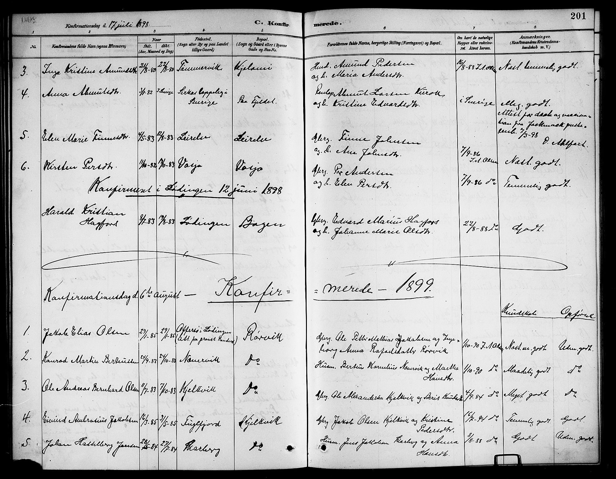 Ministerialprotokoller, klokkerbøker og fødselsregistre - Nordland, AV/SAT-A-1459/861/L0876: Parish register (copy) no. 861C02, 1887-1903, p. 201