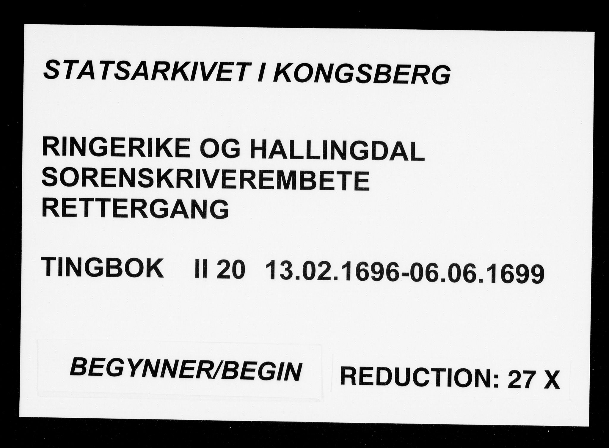 Ringerike og Hallingdal sorenskriveri, AV/SAKO-A-81/F/Fa/Fab/L0020: Tingbok - Sorenskriveriet, 1696-1699