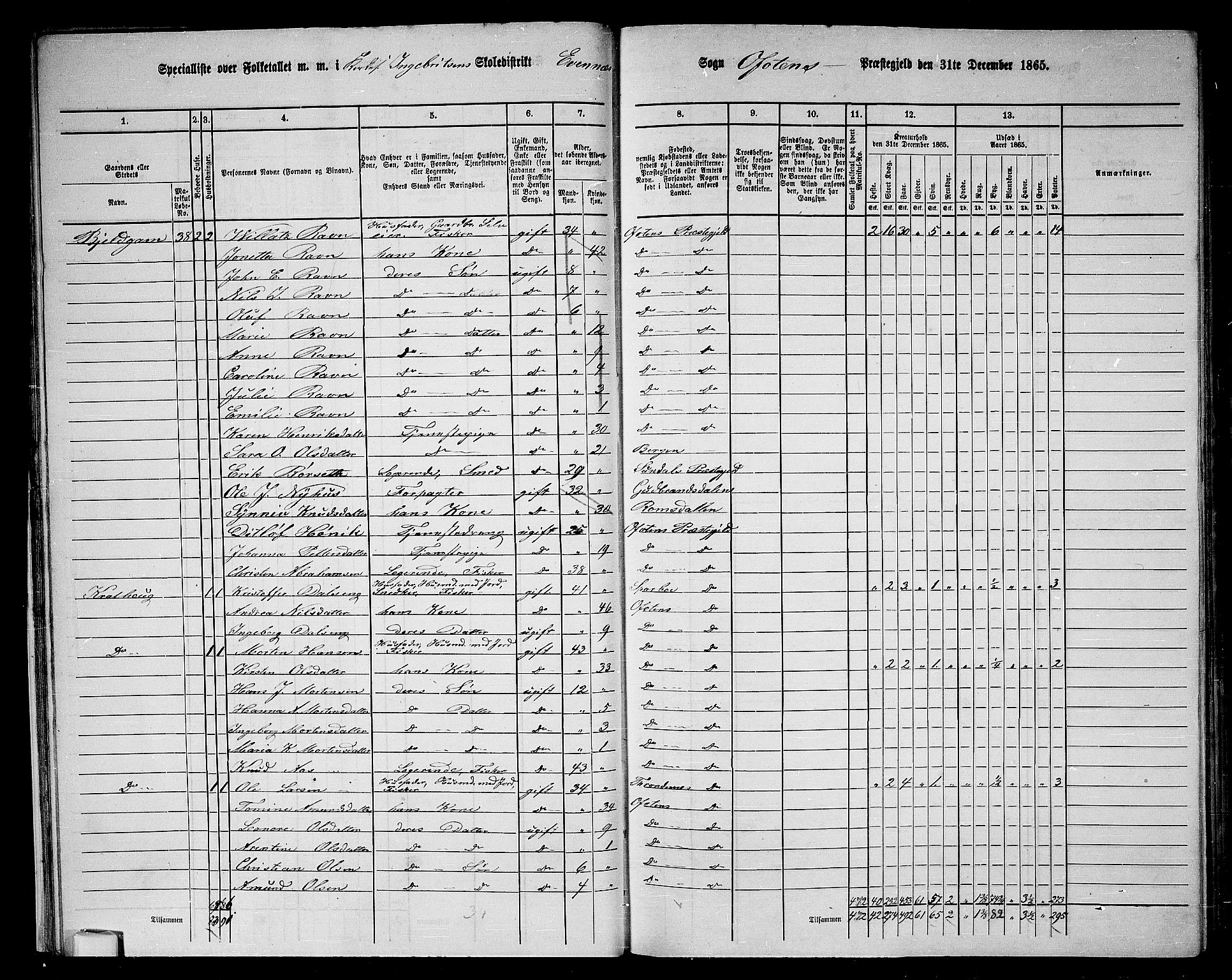 RA, 1865 census for Ofoten, 1865, p. 29