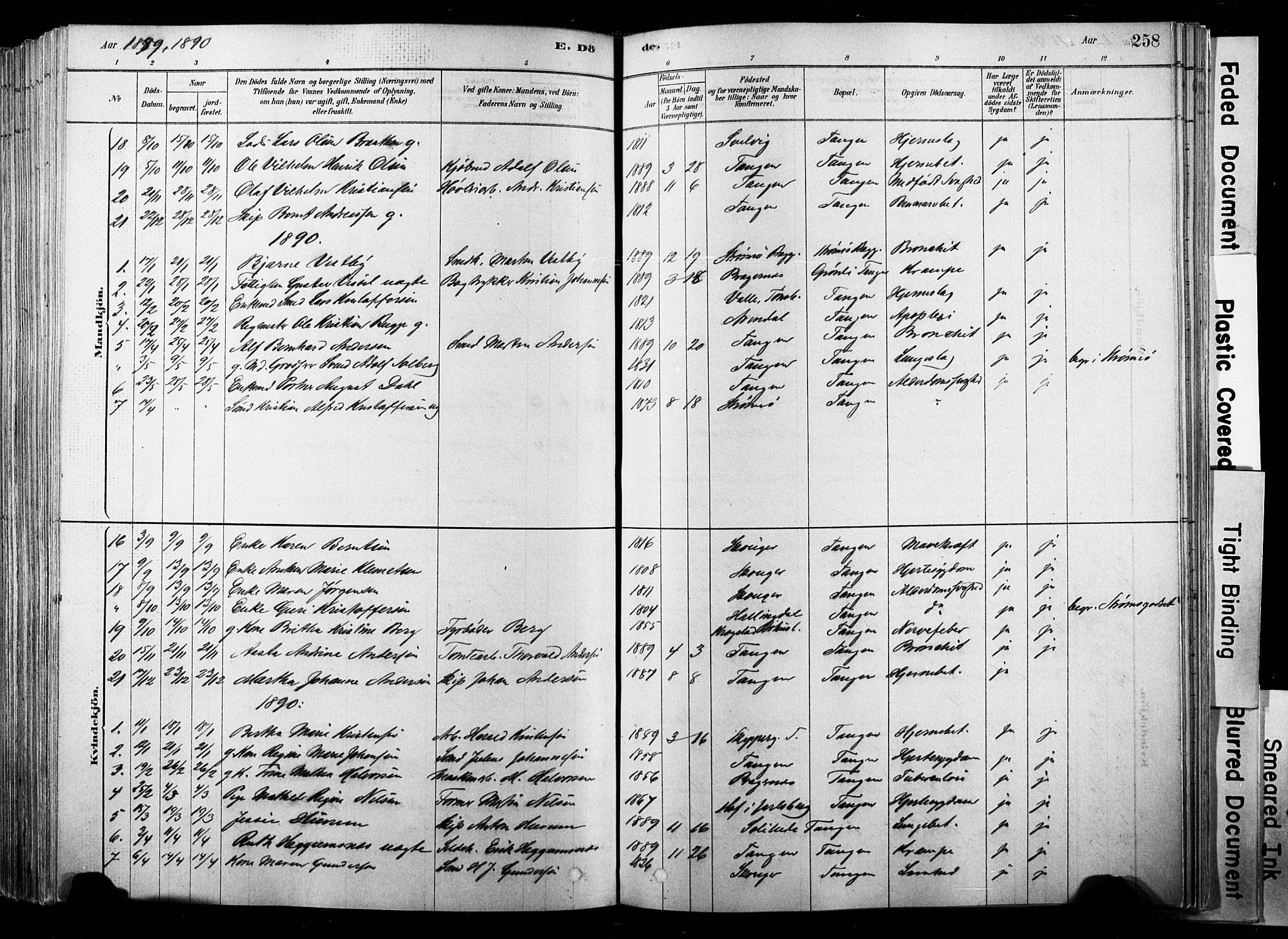 Strømsø kirkebøker, SAKO/A-246/F/Fb/L0006: Parish register (official) no. II 6, 1879-1910, p. 258