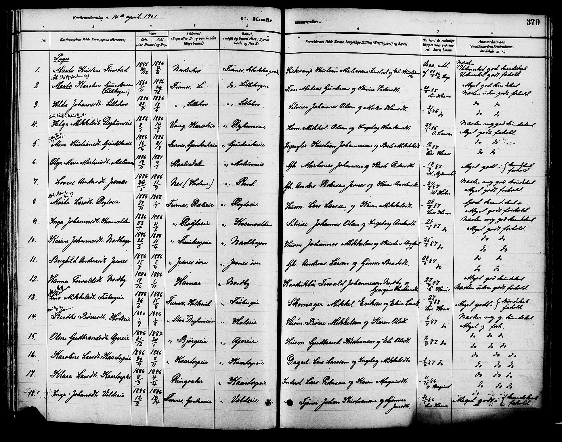 Vang prestekontor, Hedmark, AV/SAH-PREST-008/H/Ha/Haa/L0018B: Parish register (official) no. 18B, 1880-1906, p. 379