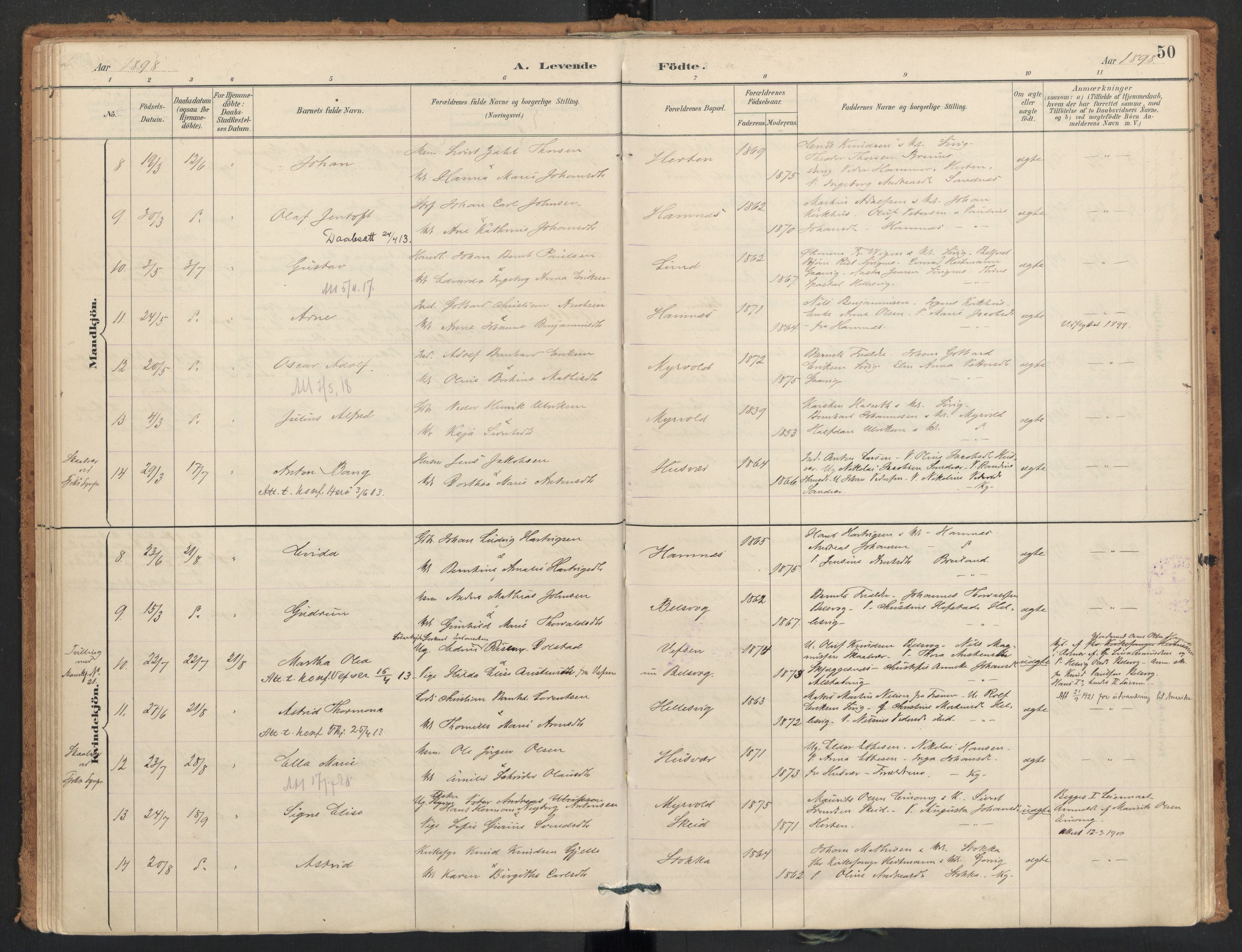 Ministerialprotokoller, klokkerbøker og fødselsregistre - Nordland, AV/SAT-A-1459/830/L0453: Parish register (official) no. 830A17, 1886-1911, p. 50