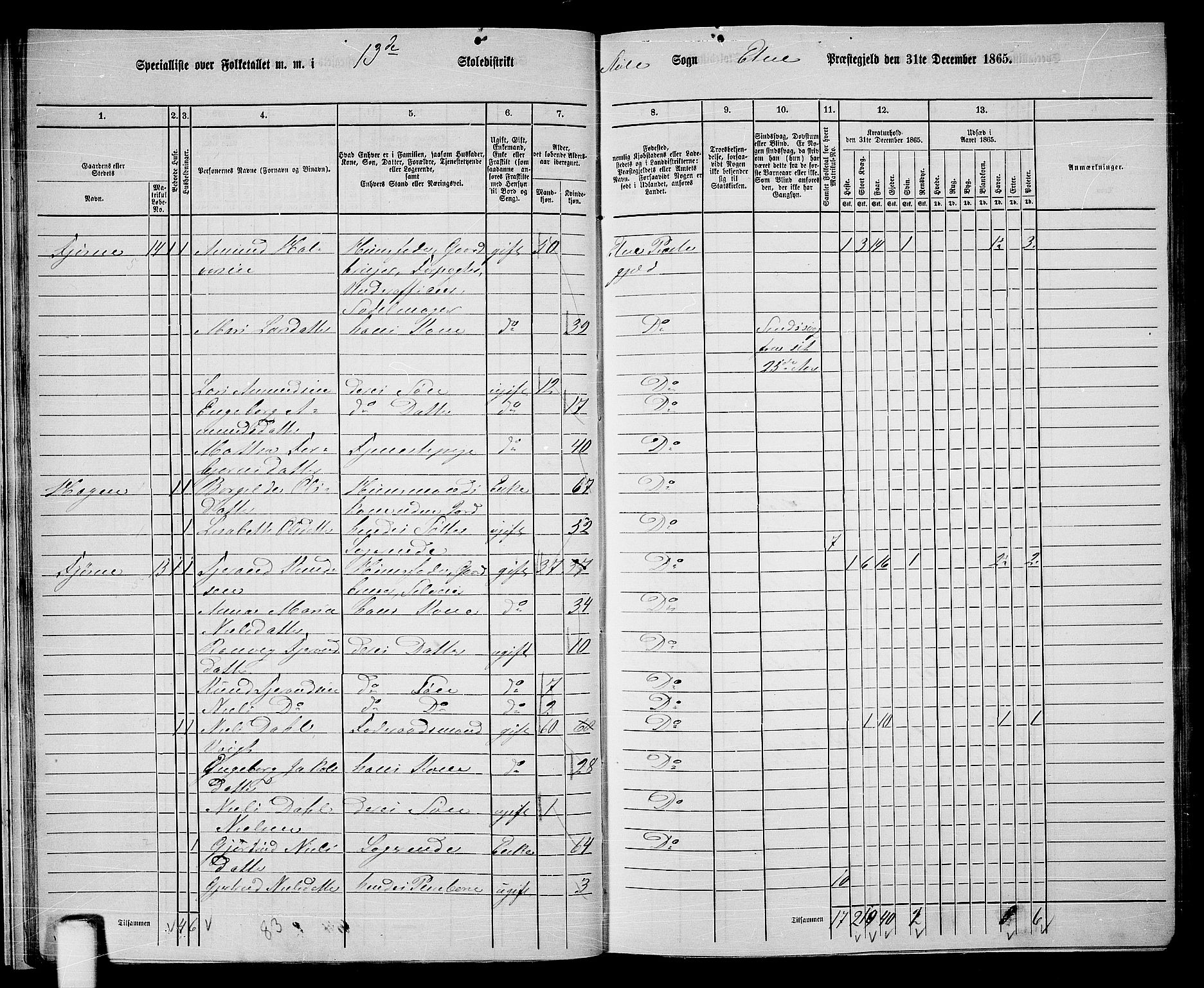 RA, 1865 census for Etne, 1865, p. 22