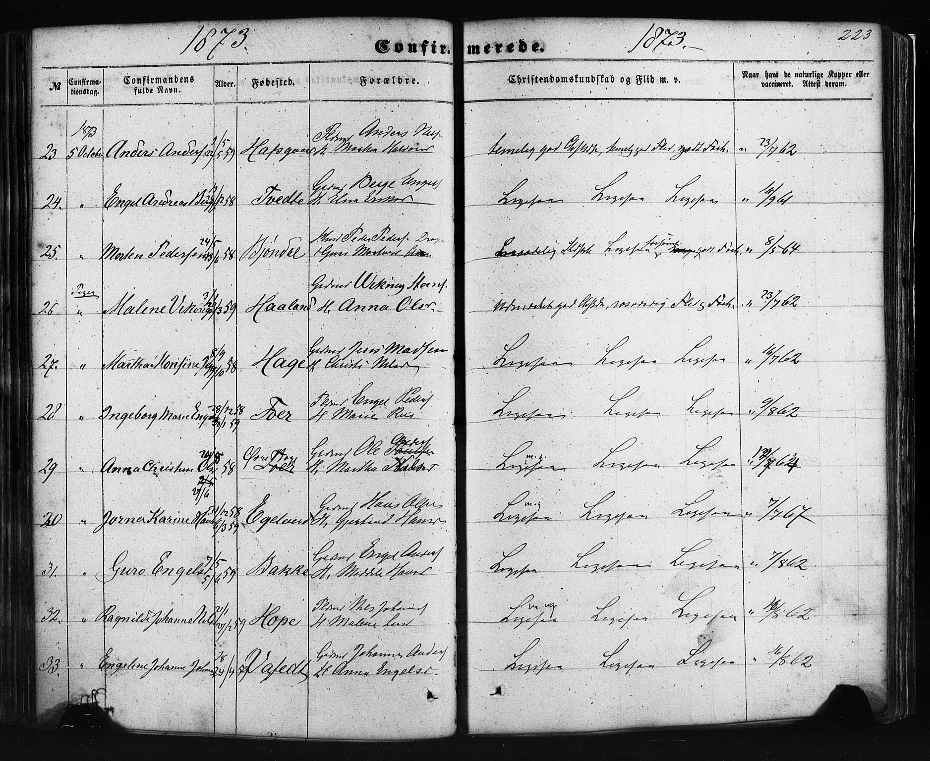 Fusa sokneprestembete, AV/SAB-A-75401/H/Haa: Parish register (official) no. A 1I, 1855-1879, p. 223