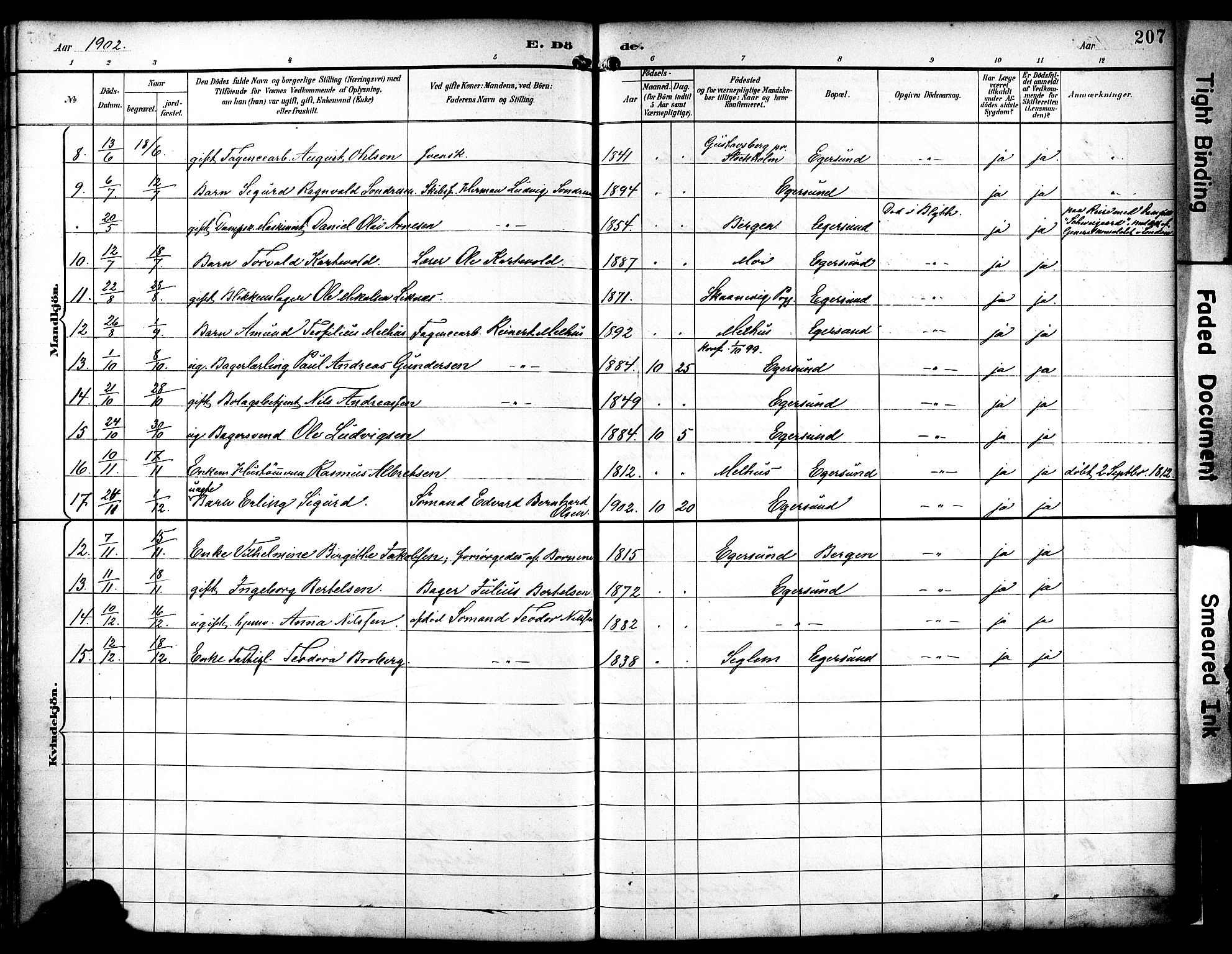 Eigersund sokneprestkontor, AV/SAST-A-101807/S08/L0019: Parish register (official) no. A 18, 1892-1905, p. 207